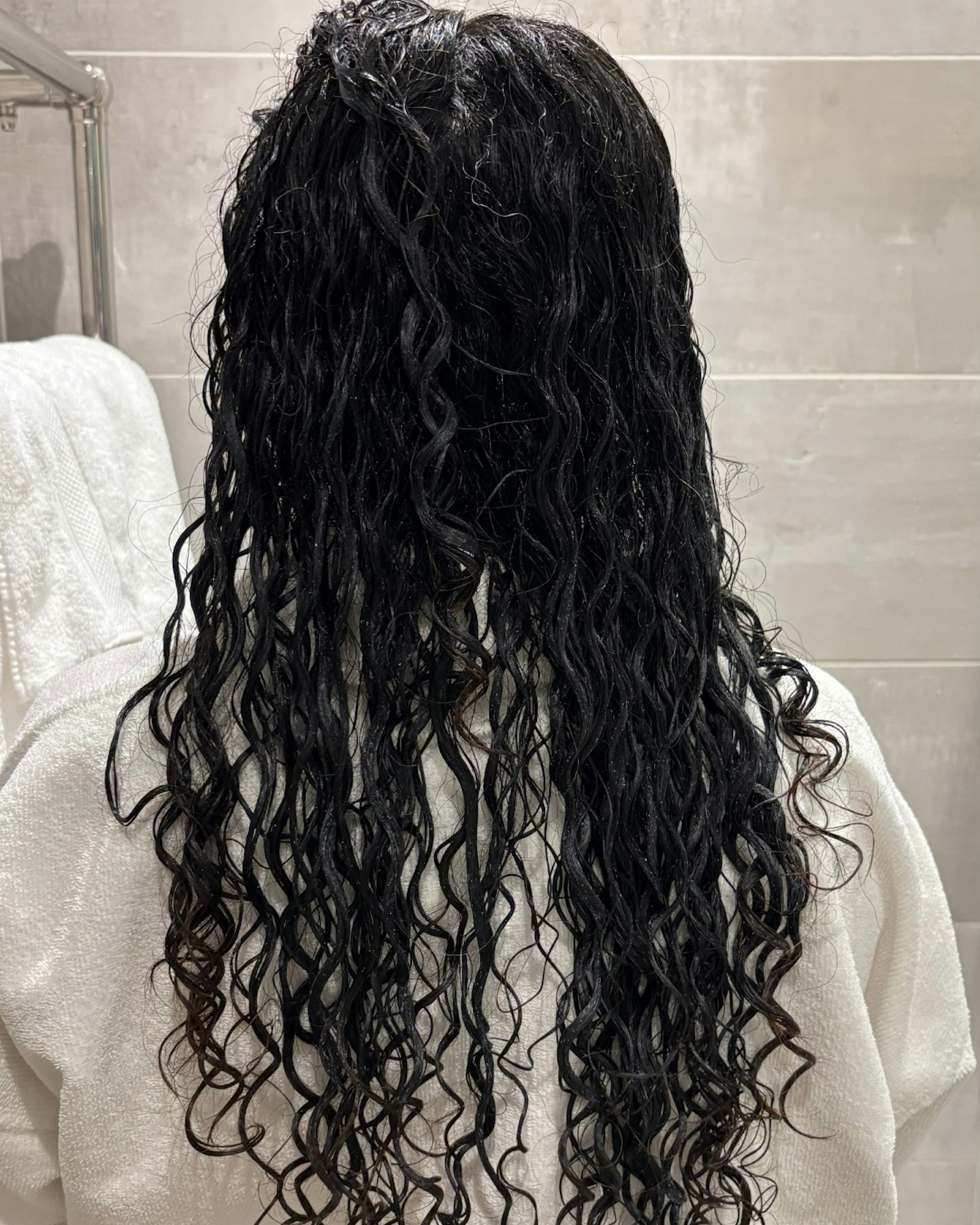 Curlsmith Defrizzion Dryer Travel Edition