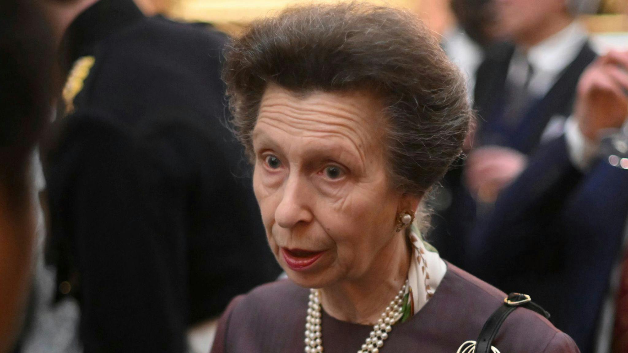 What Will Princess Anne's Role In The Coronation Be? - Vimarsana News