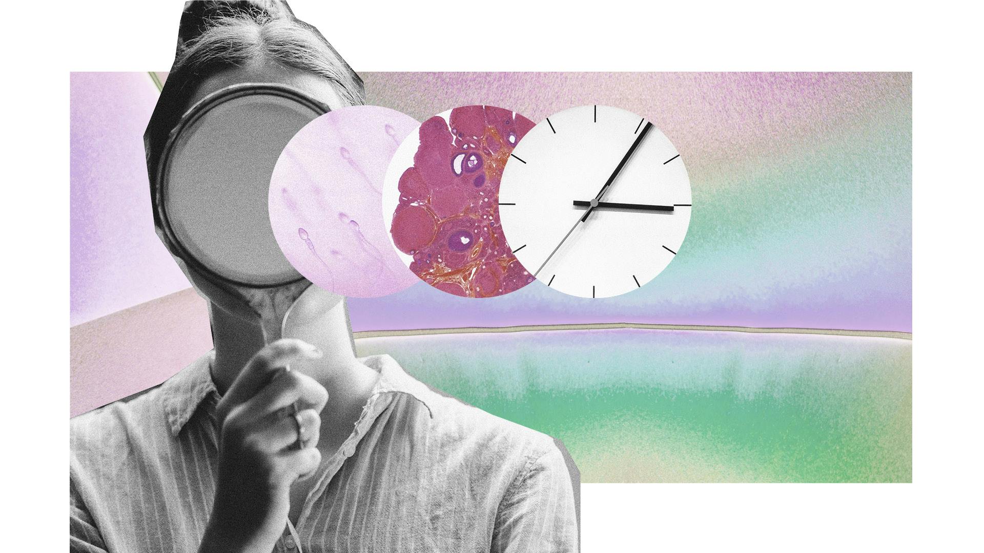 We've Been Sold A Lie About The Fertility Cliff