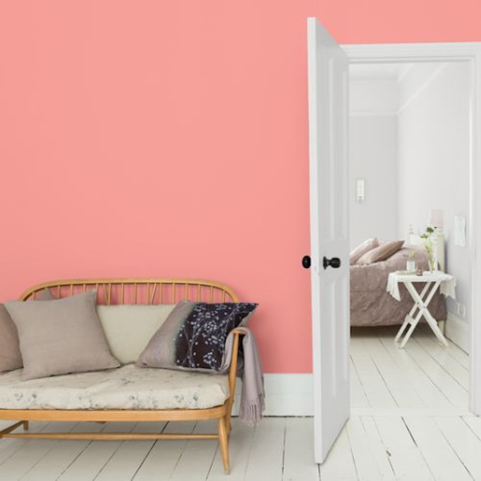 Best Wes Anderson Home Décor Pieces For A Home Refresh