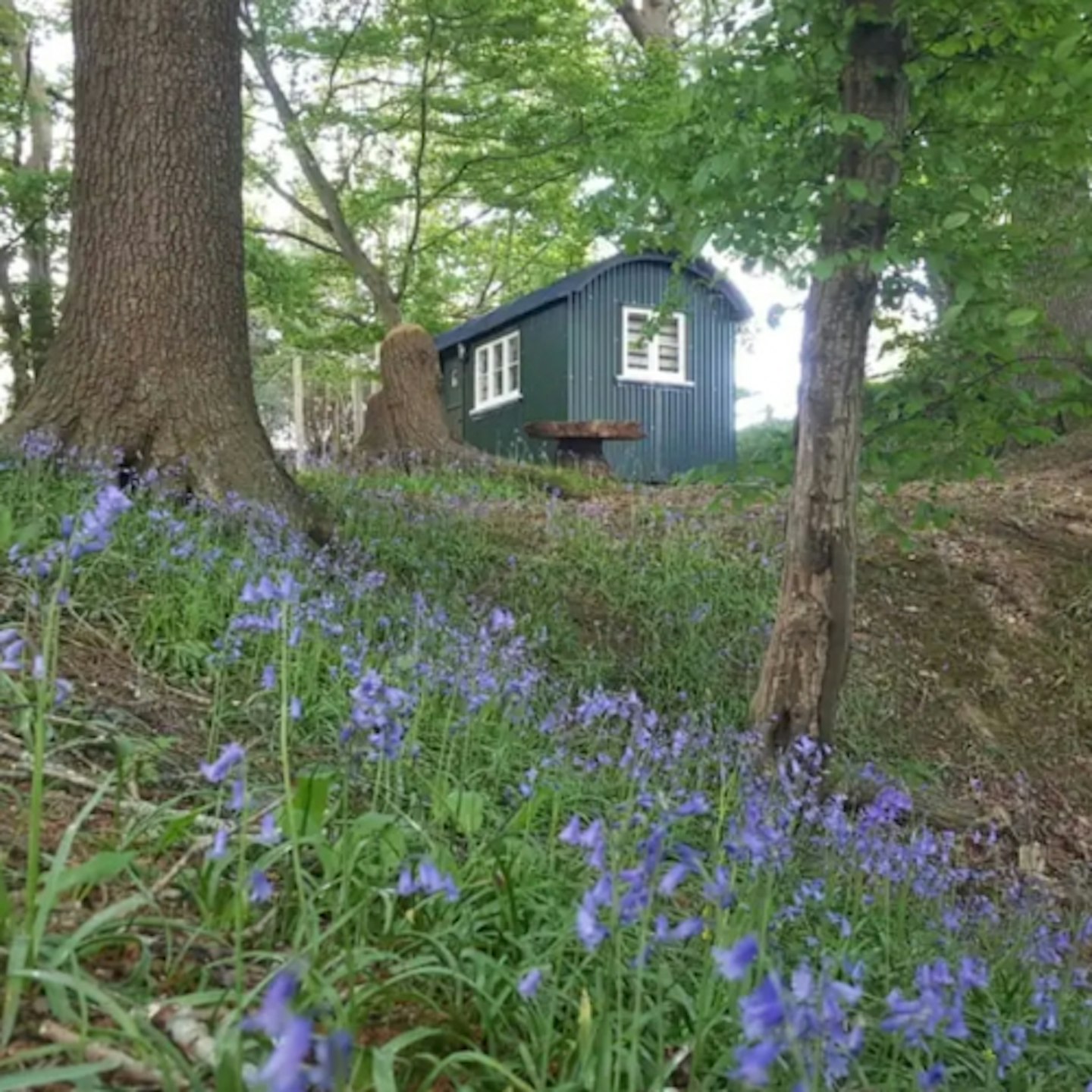 Shepherd Hut