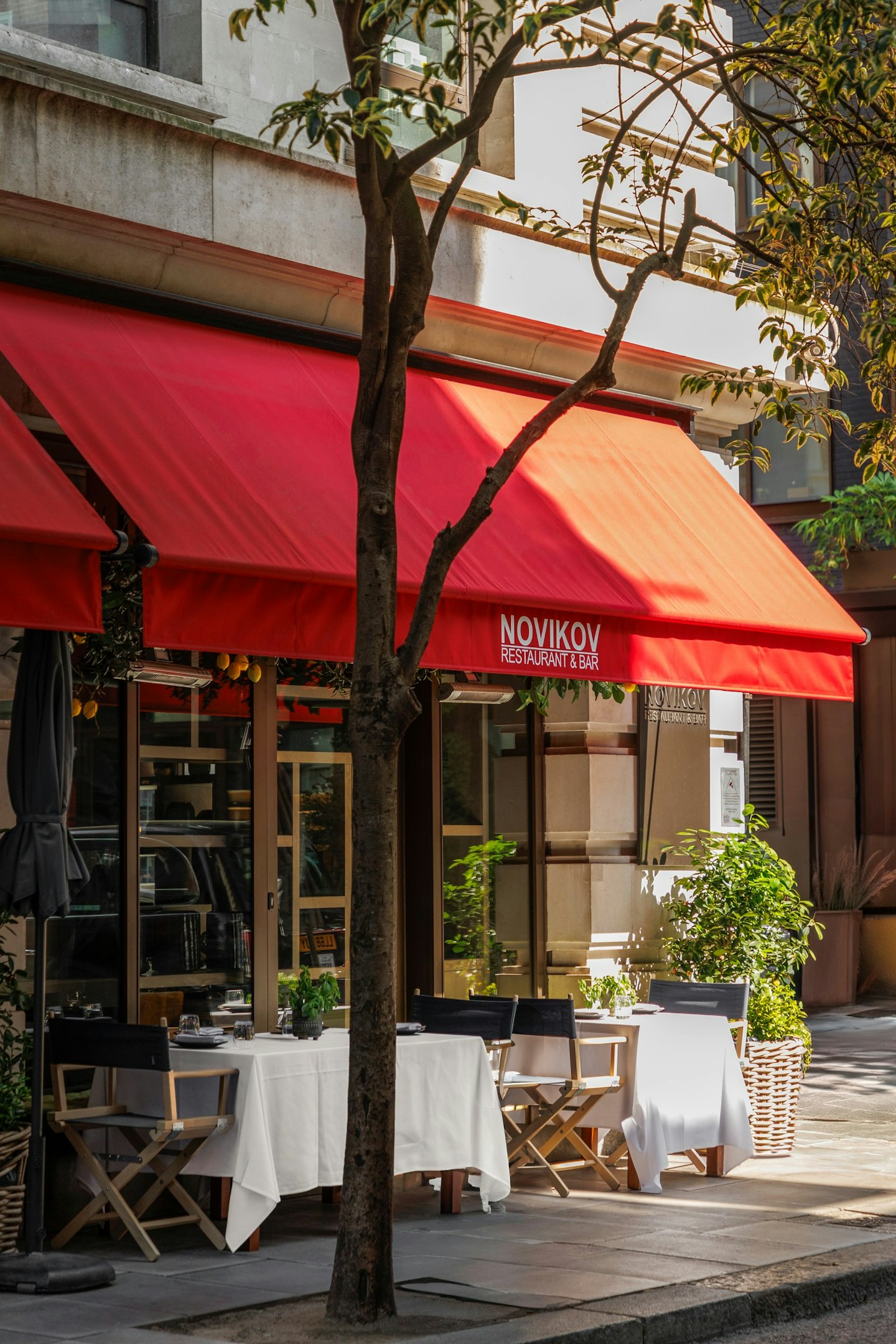 Novikov Asian
