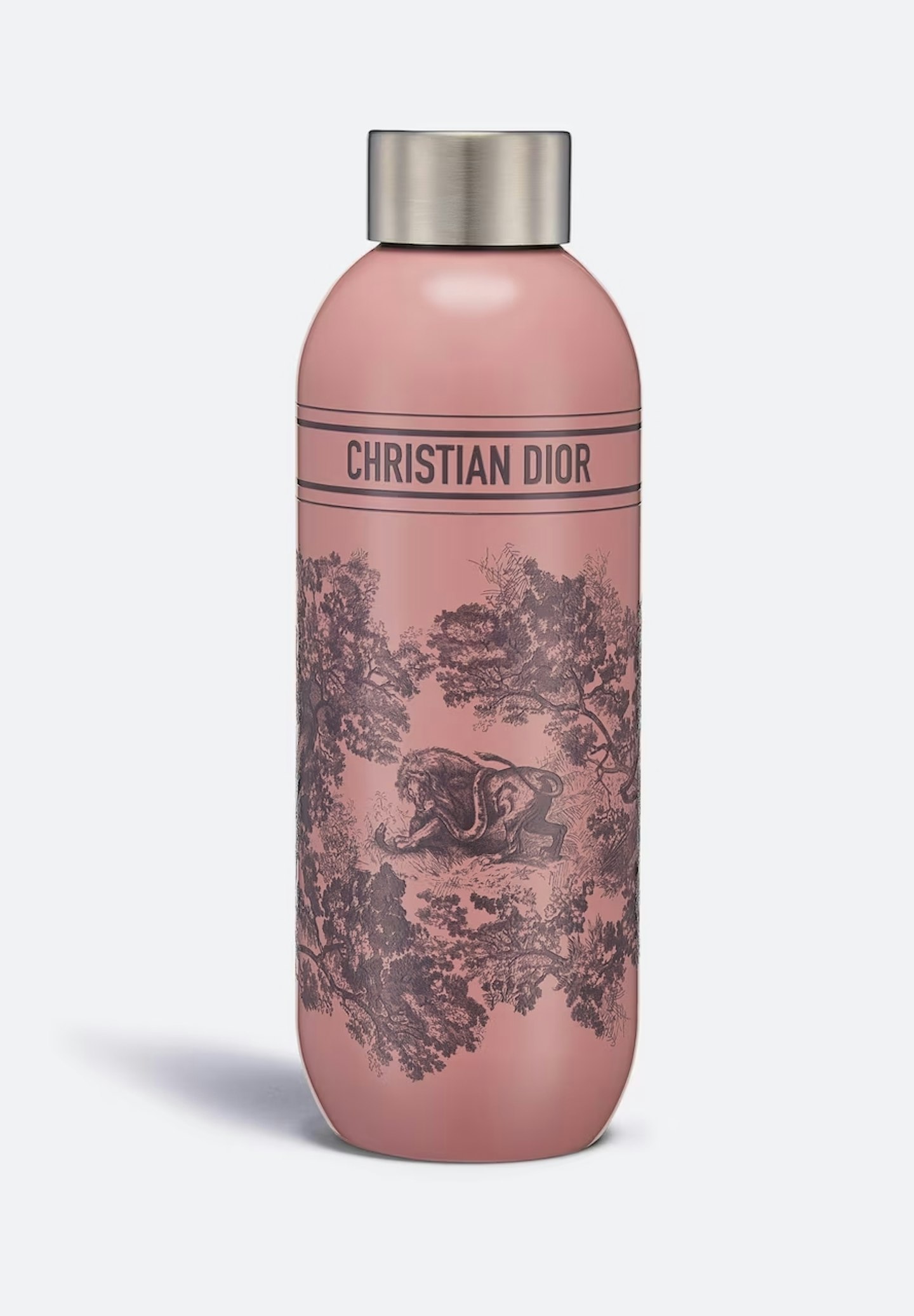 dior water bottle 