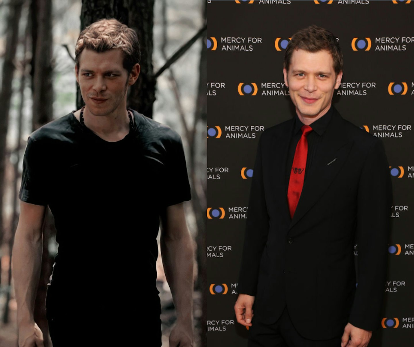 Joseph Morgan as Klaus Mikaelson