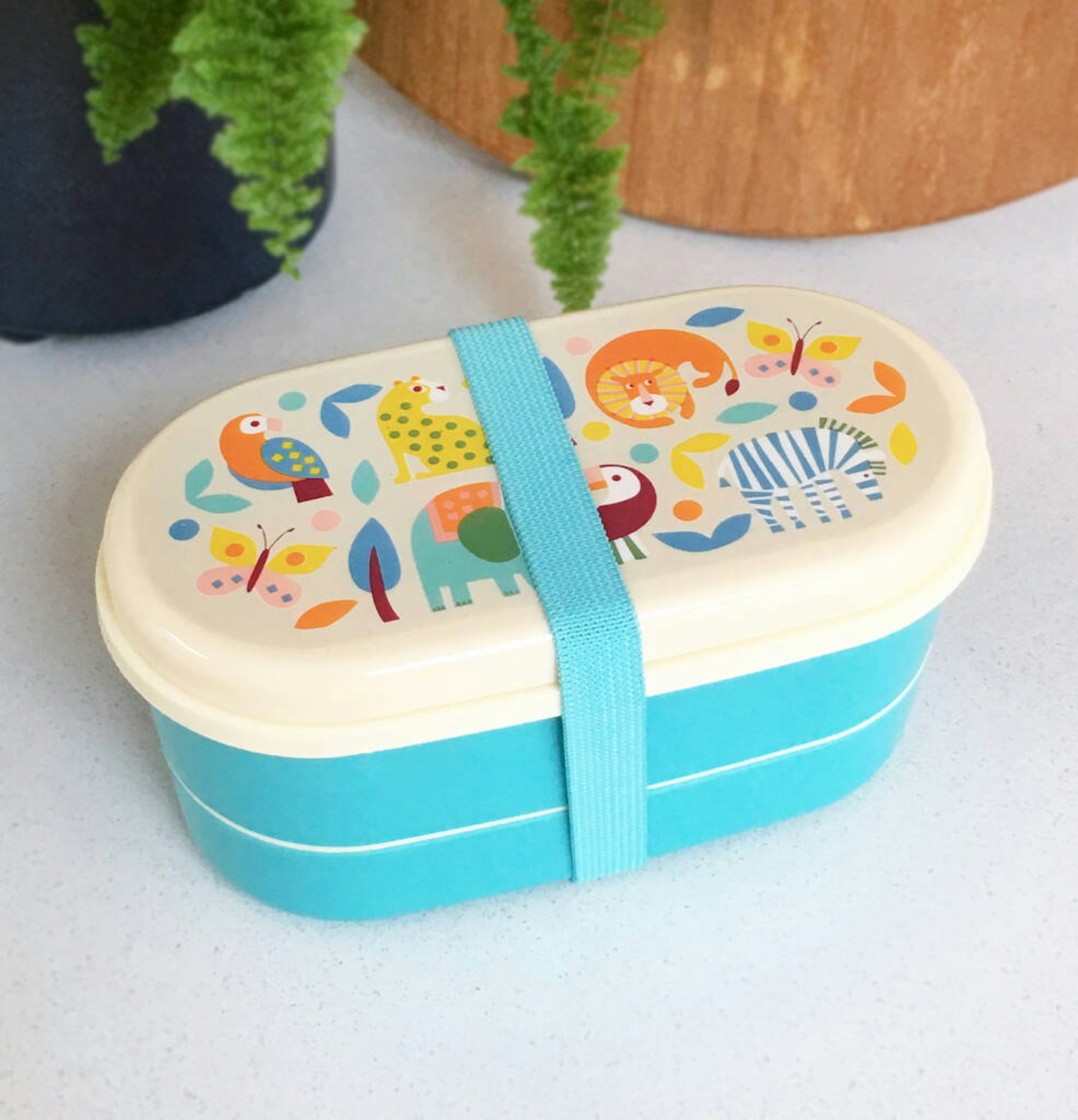 Wild Wonders Children's Bento Lunch Box