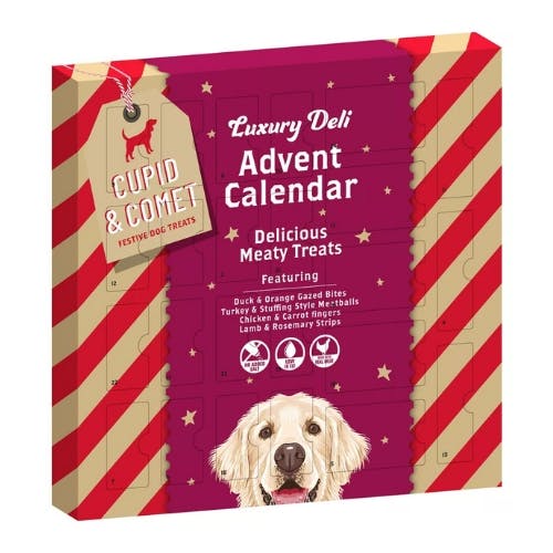 Best dog cheap advent calendar