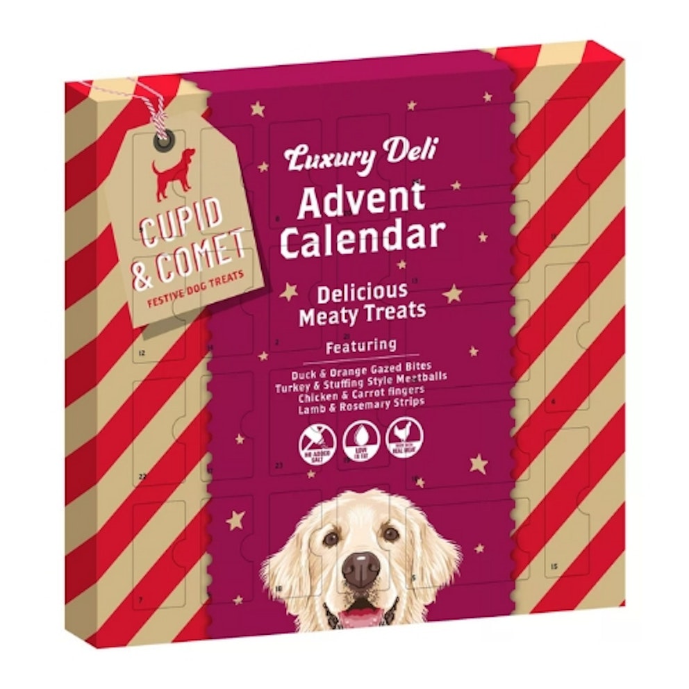 12 Best Dog Advent Calendars For 2023 Grazia