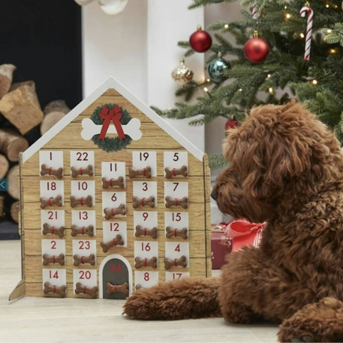 Not On The High Street, Refillable Dog Biscuit Advent Calendar