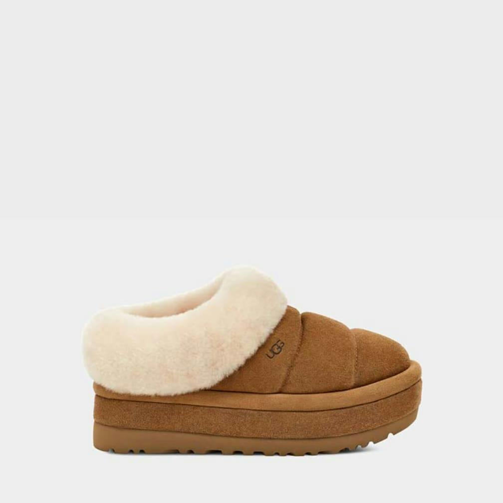 Uggs Popularity 2024