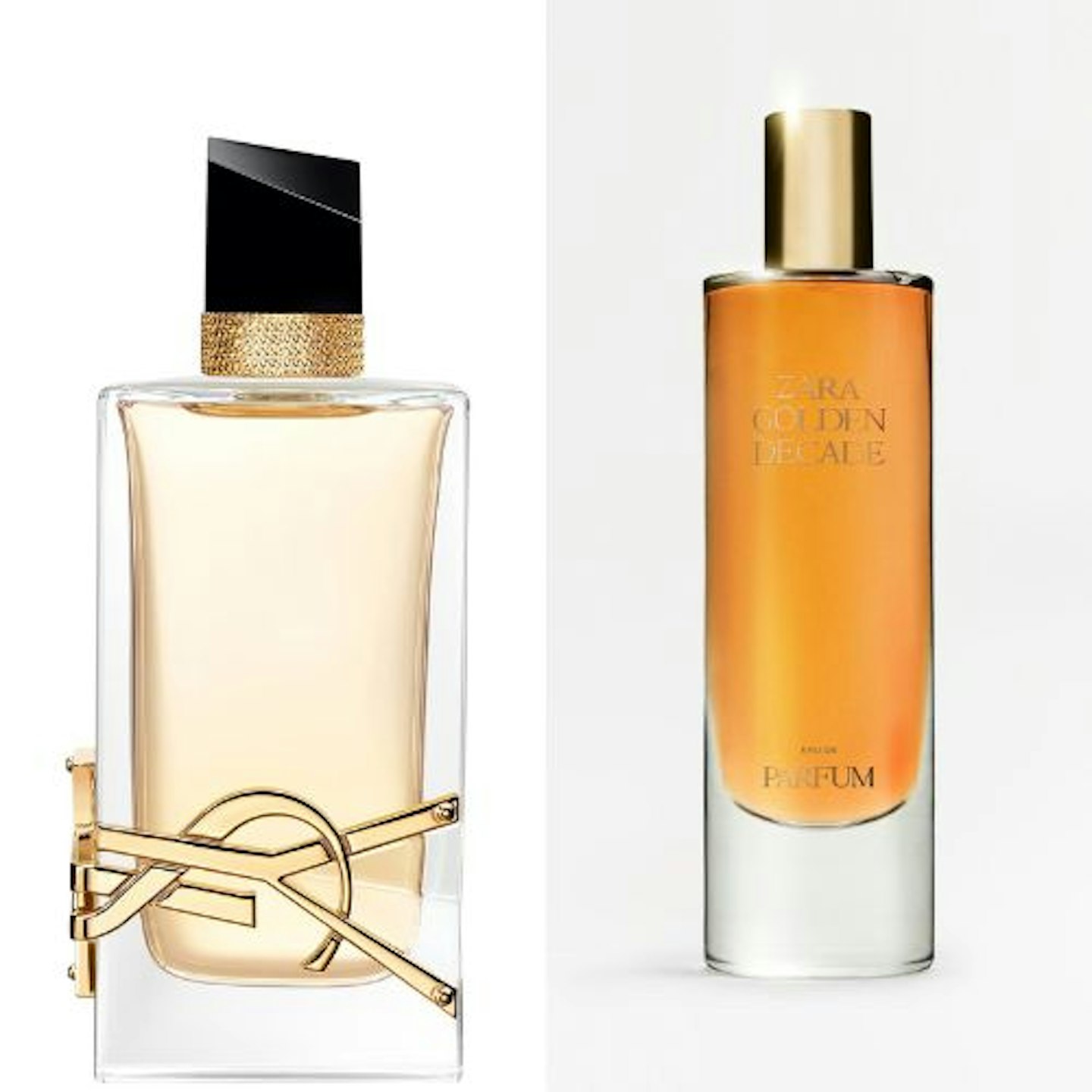 Zara Golden Decade | YSL Libre