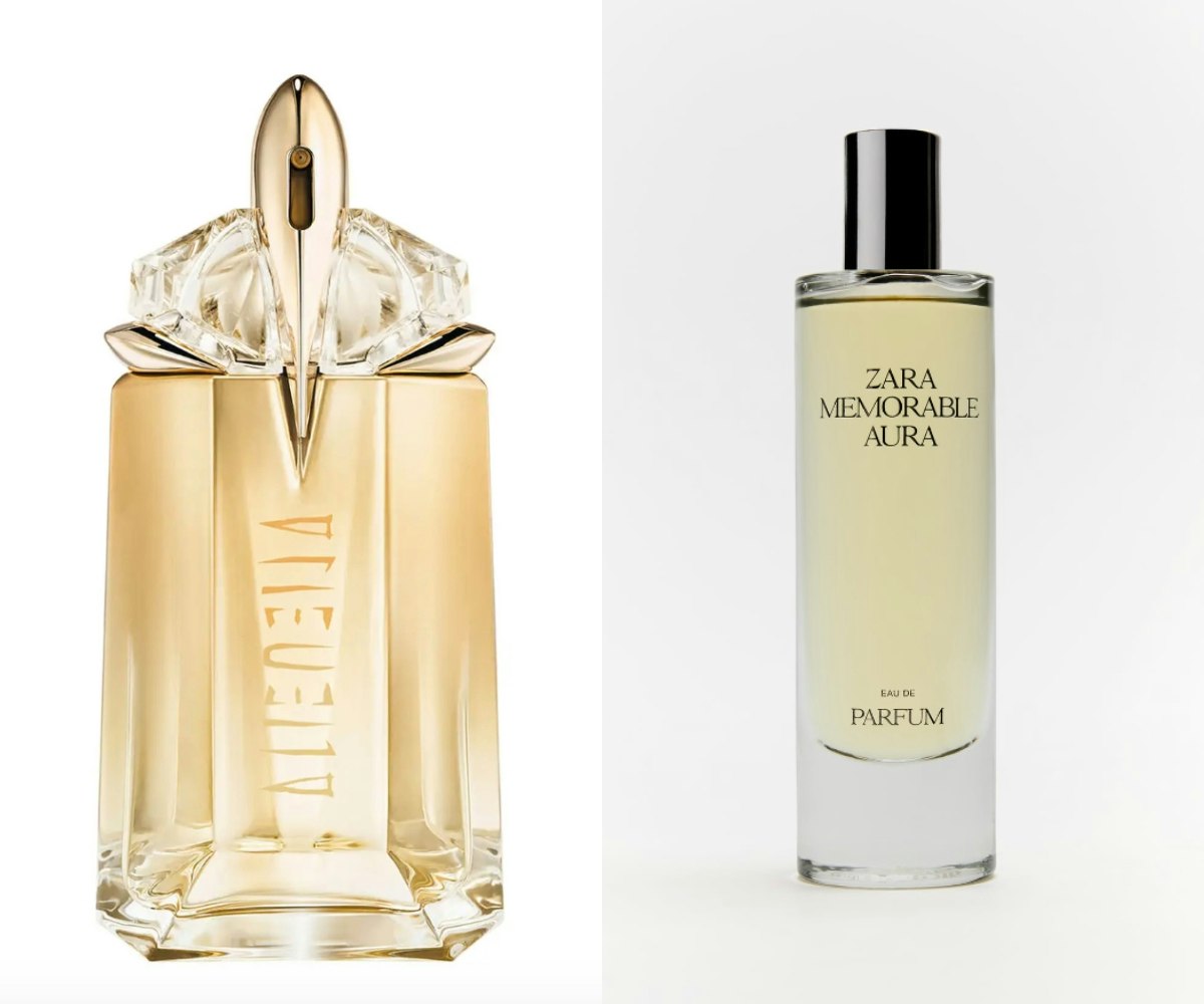 Best Zara Perfumes Dupes 2023 For Your Designer Favourites
