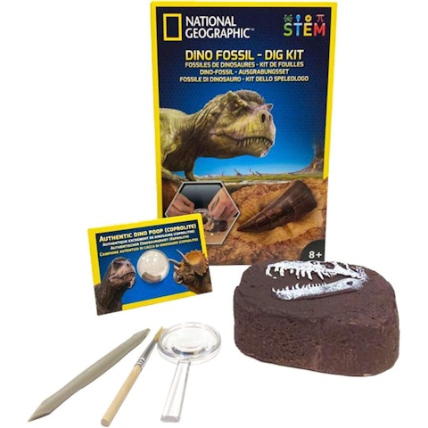 Dino Fossil Dig Kit