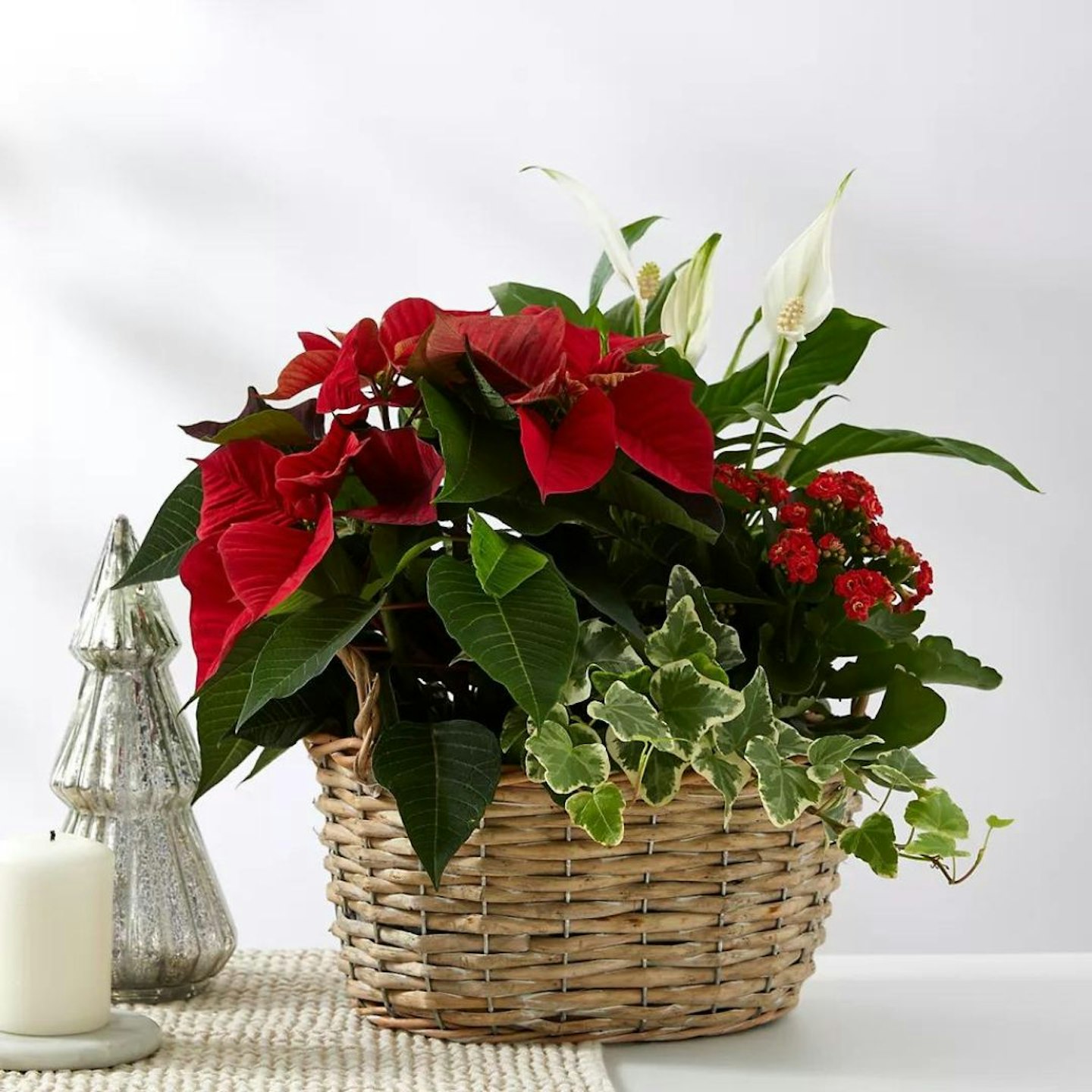 Best Christmas Gifts For Teachers: Festive Planted Basket with Poinsettia