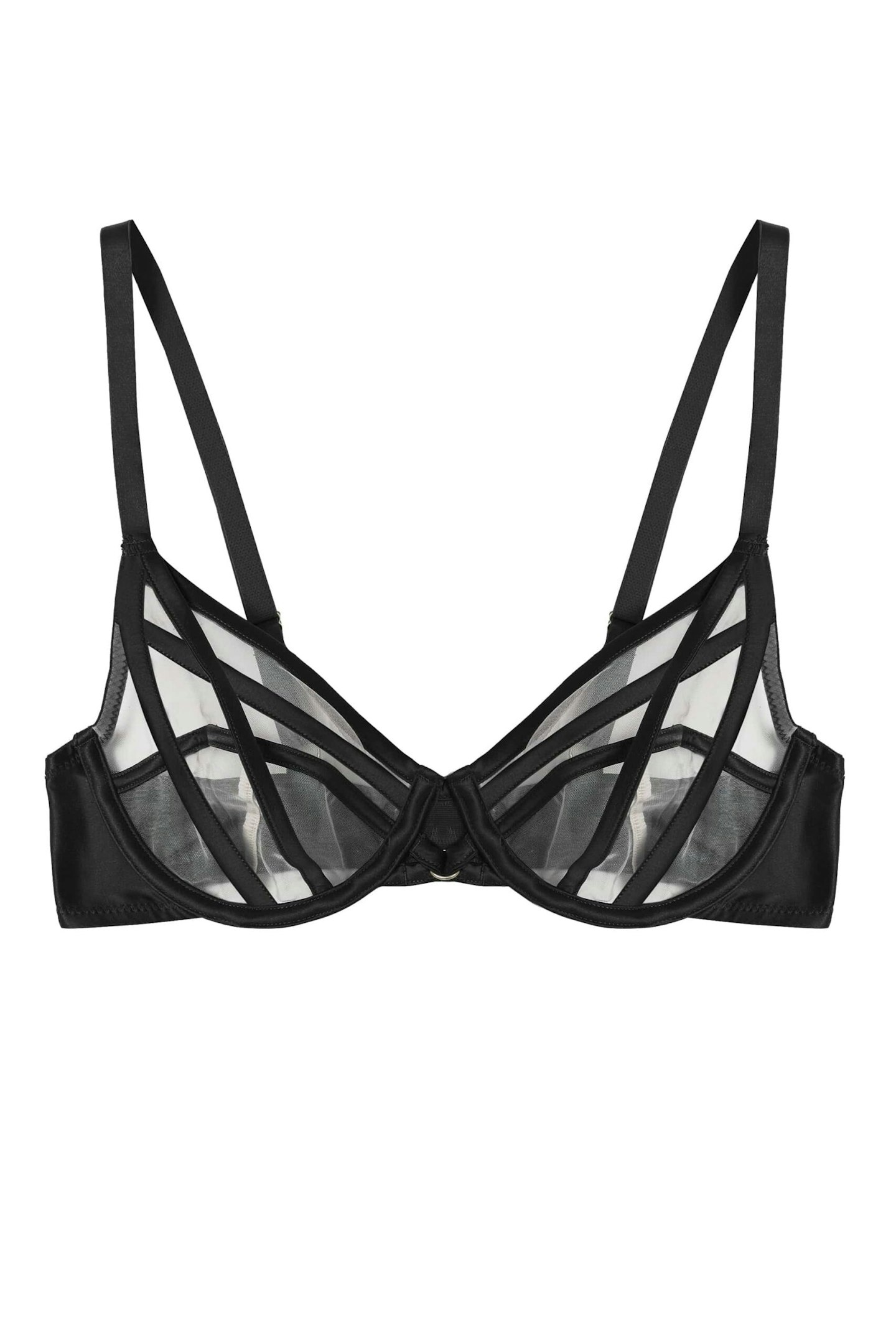 Playful Promises, Ramona Black Mesh Plunge Bra