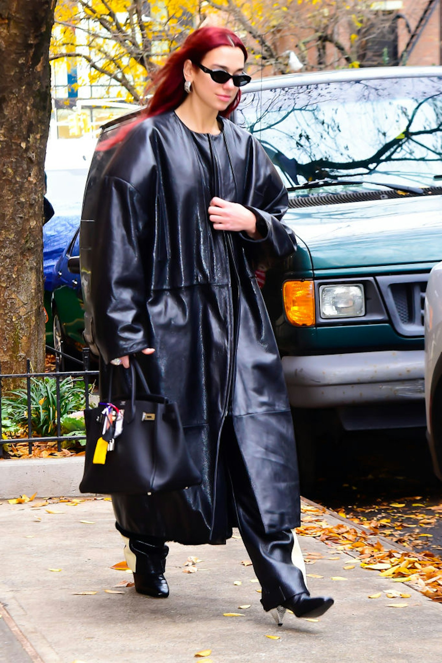 Dua Lipa with her accessorised Birkin