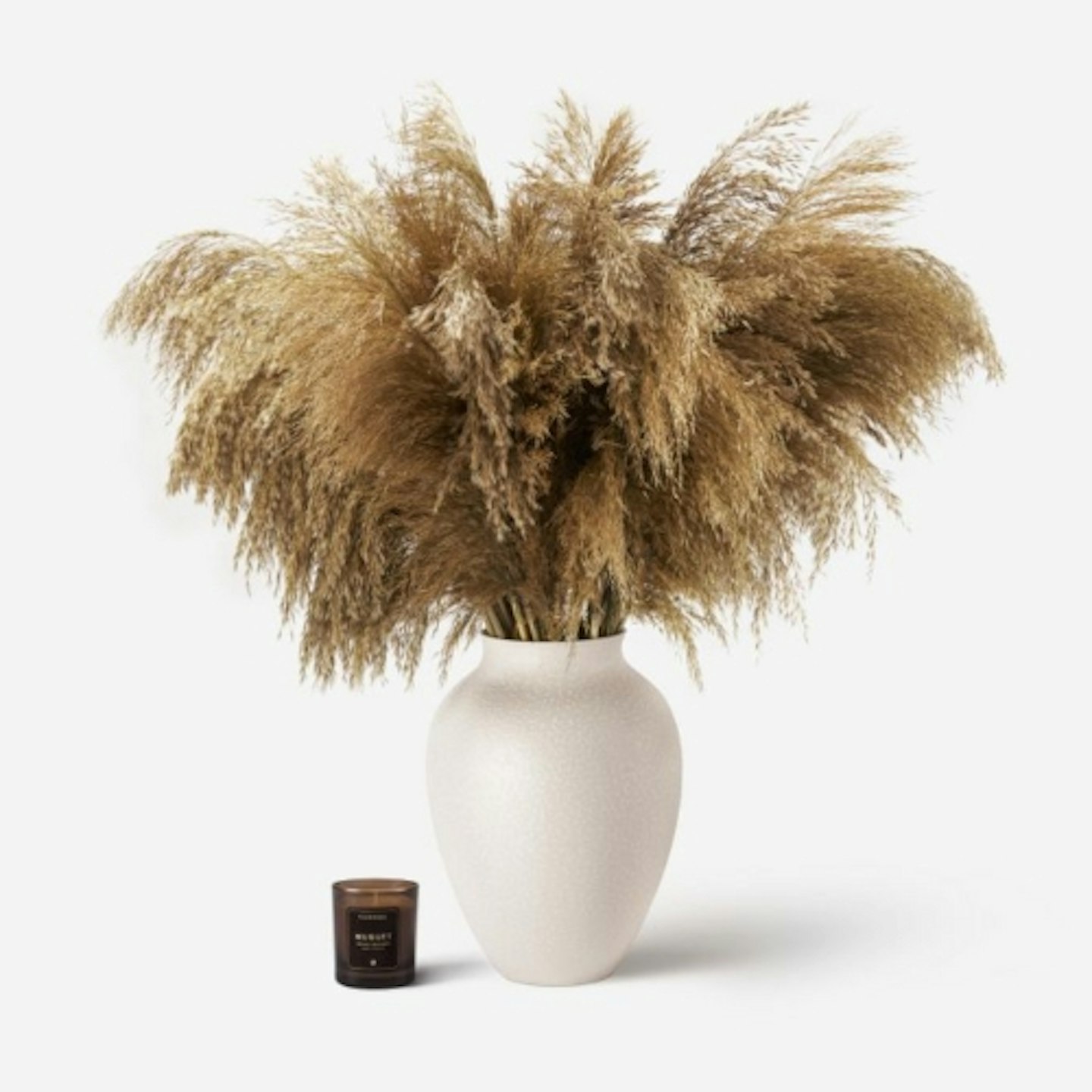 FLOWERBX Pampas Grass