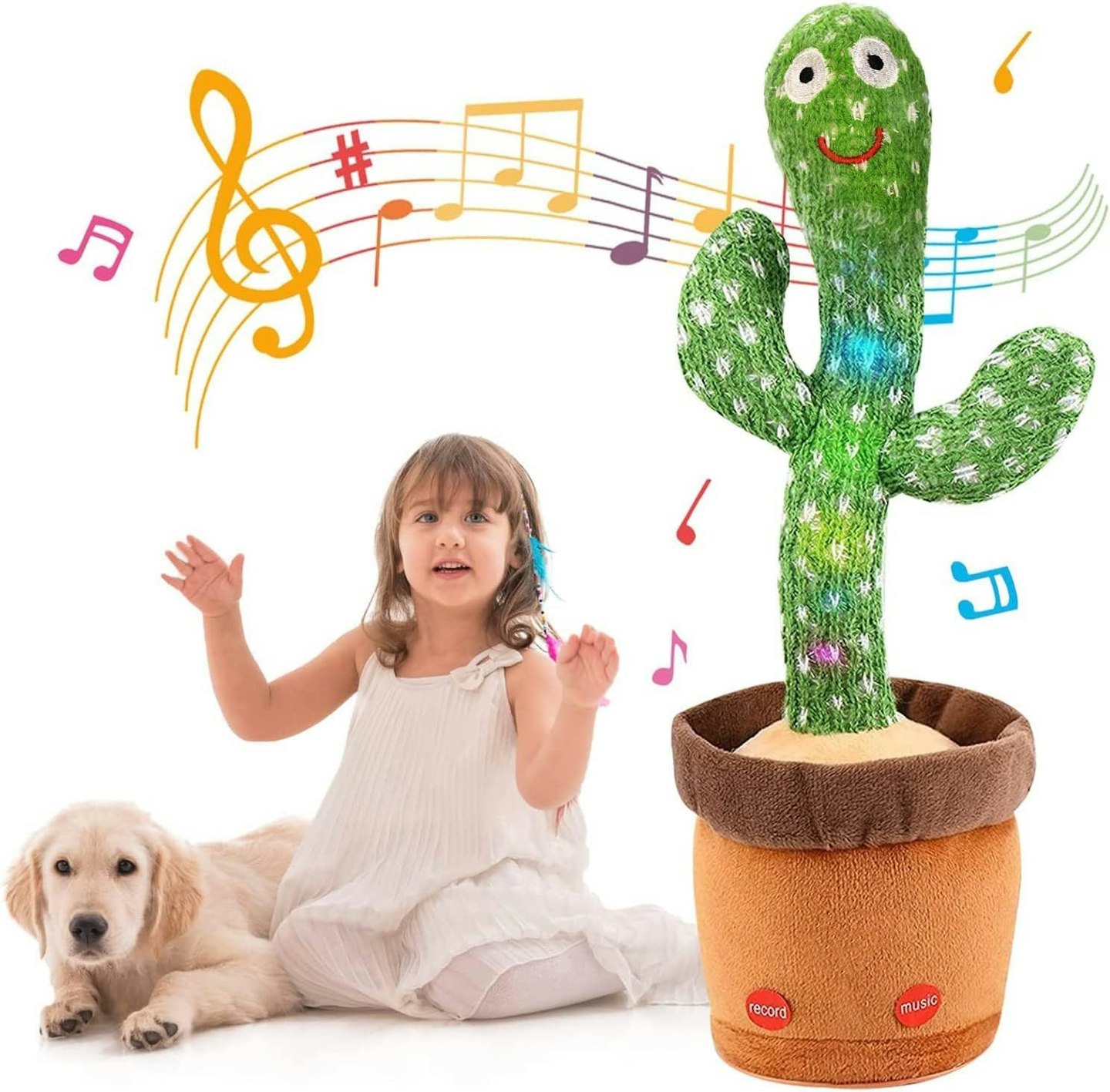 Dancing Cactus Toy