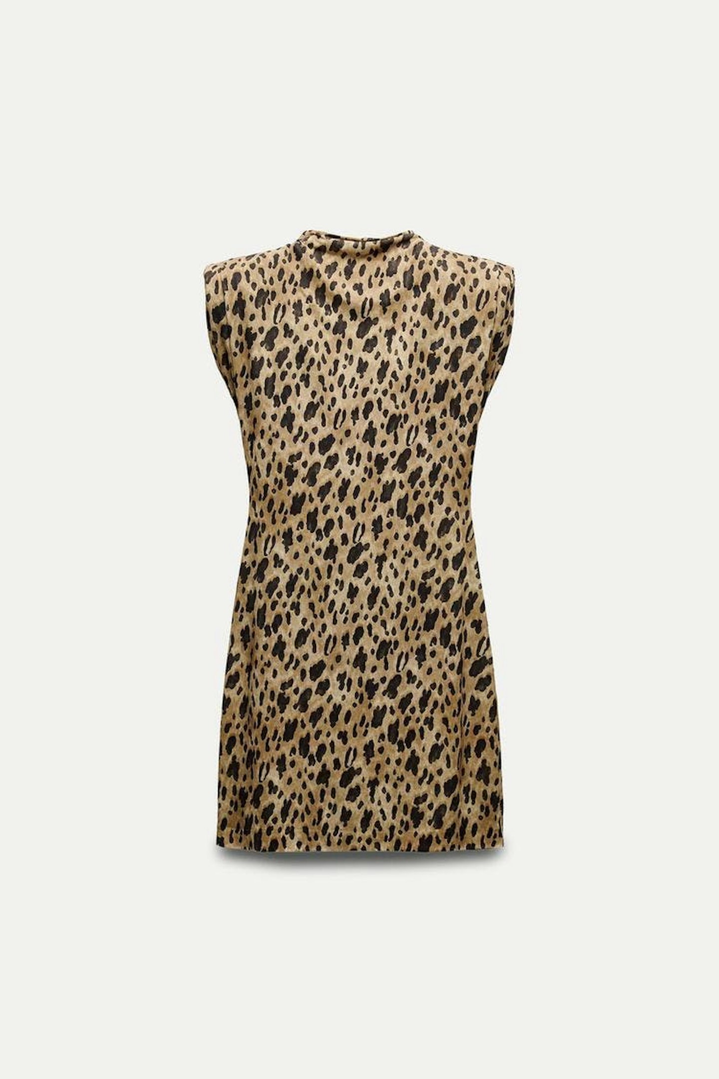 Zara Animal Print Dress