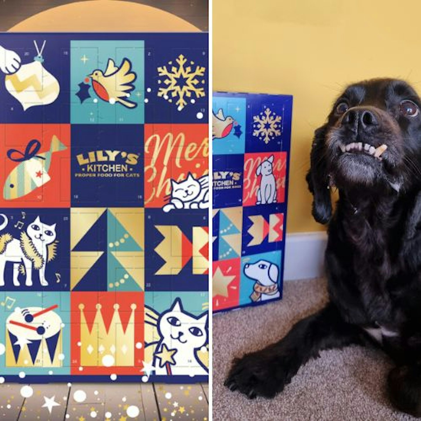 Lily's Kitchen, Advent Calendar For Dogs