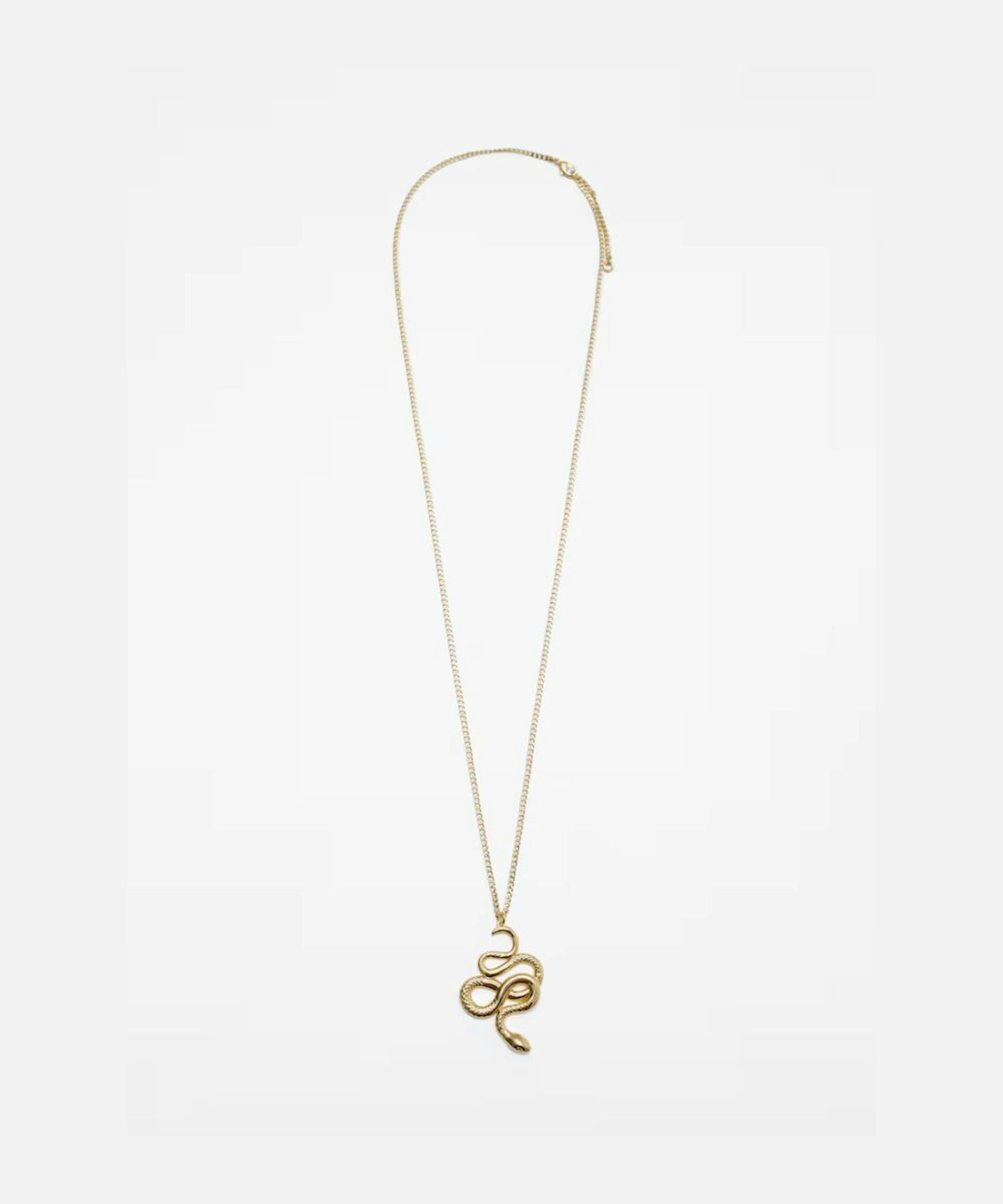 H&M snake necklace