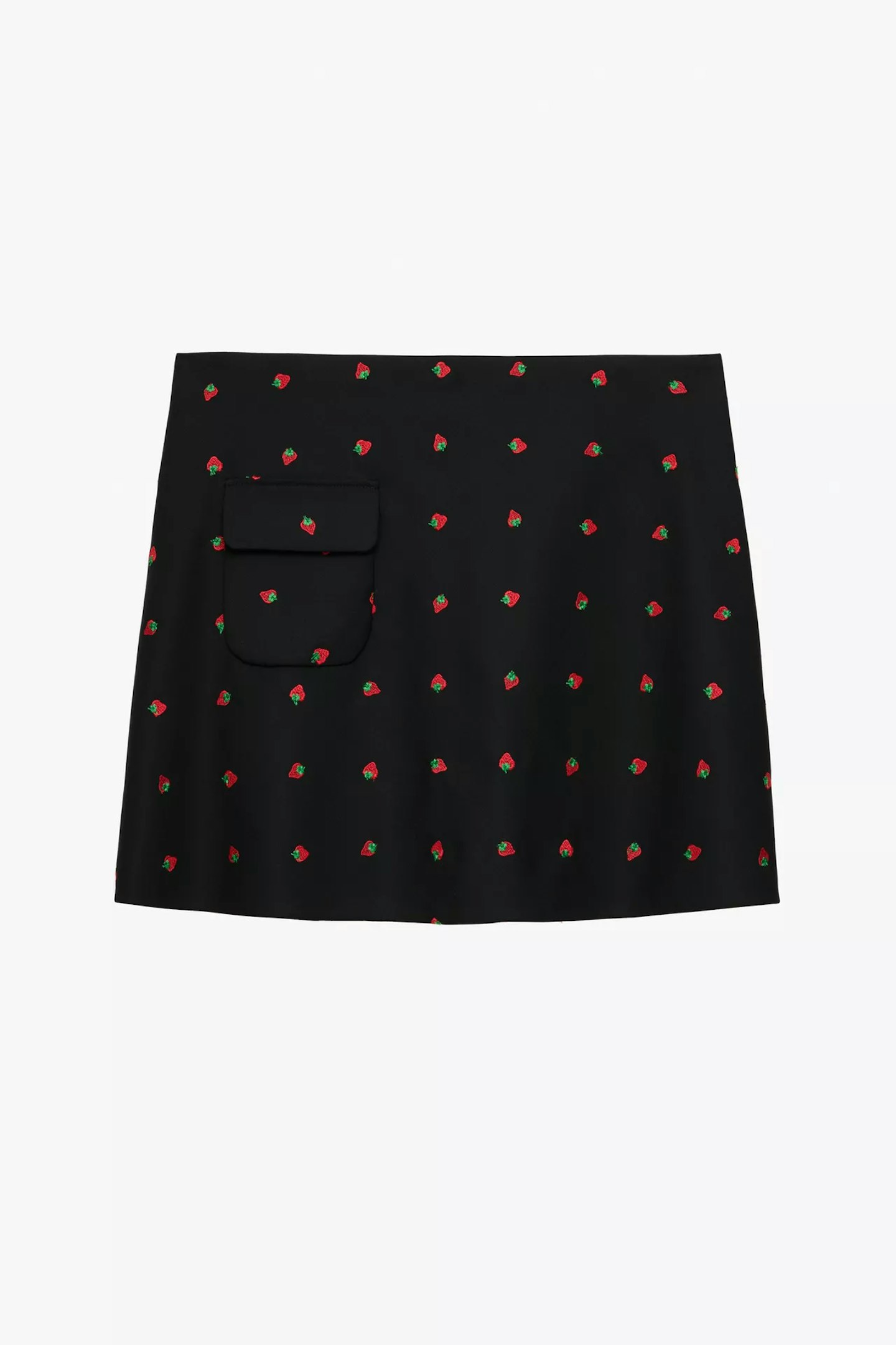 zara stefano pialti skirt 