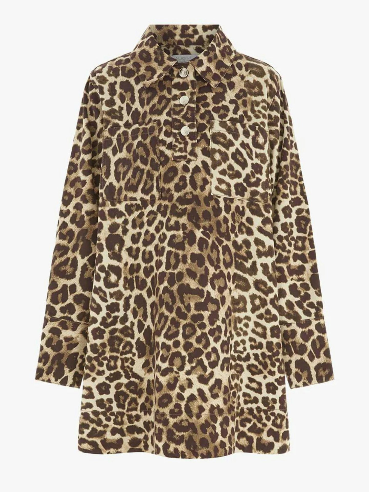 Grace Leopard Print Long Sleeve Dress