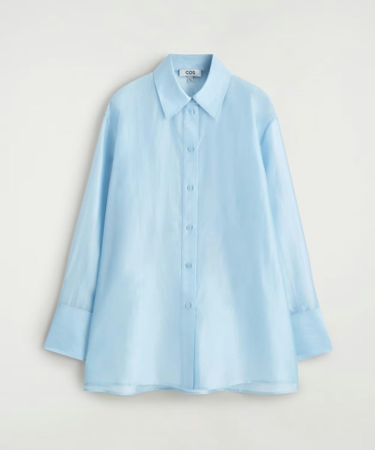 Sheer Shirt