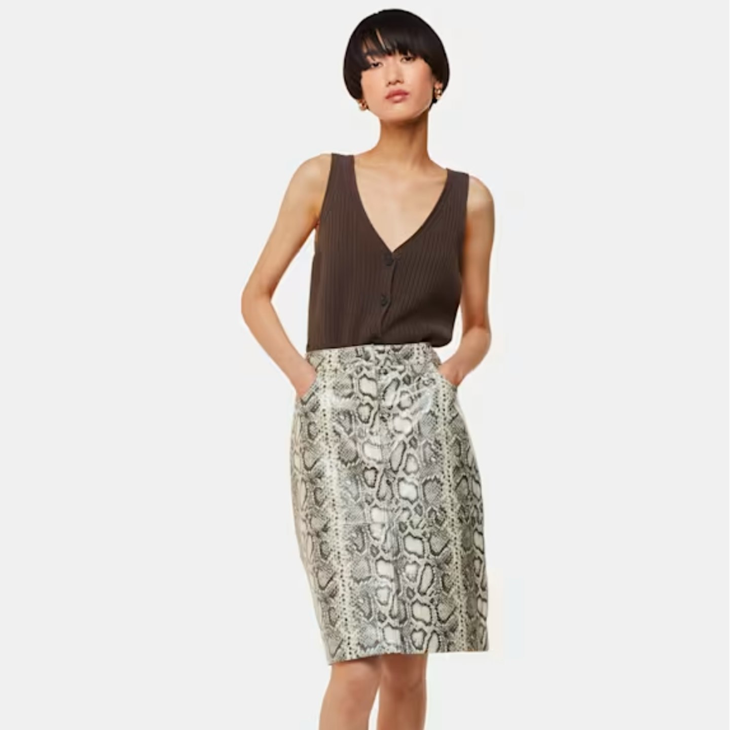 snake skin midi skirt from Whistles