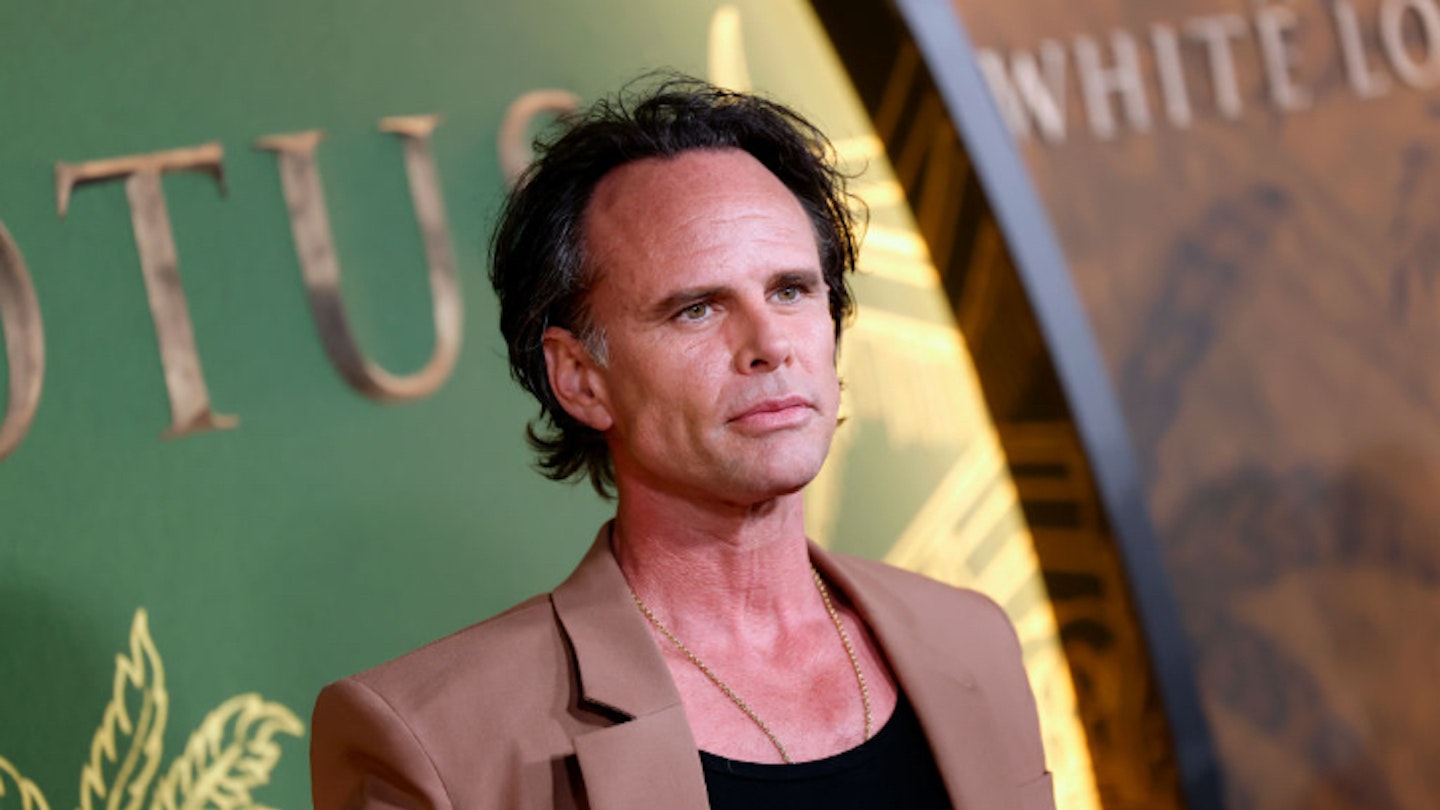 Meet Walton Goggins, White Lotus' Rick