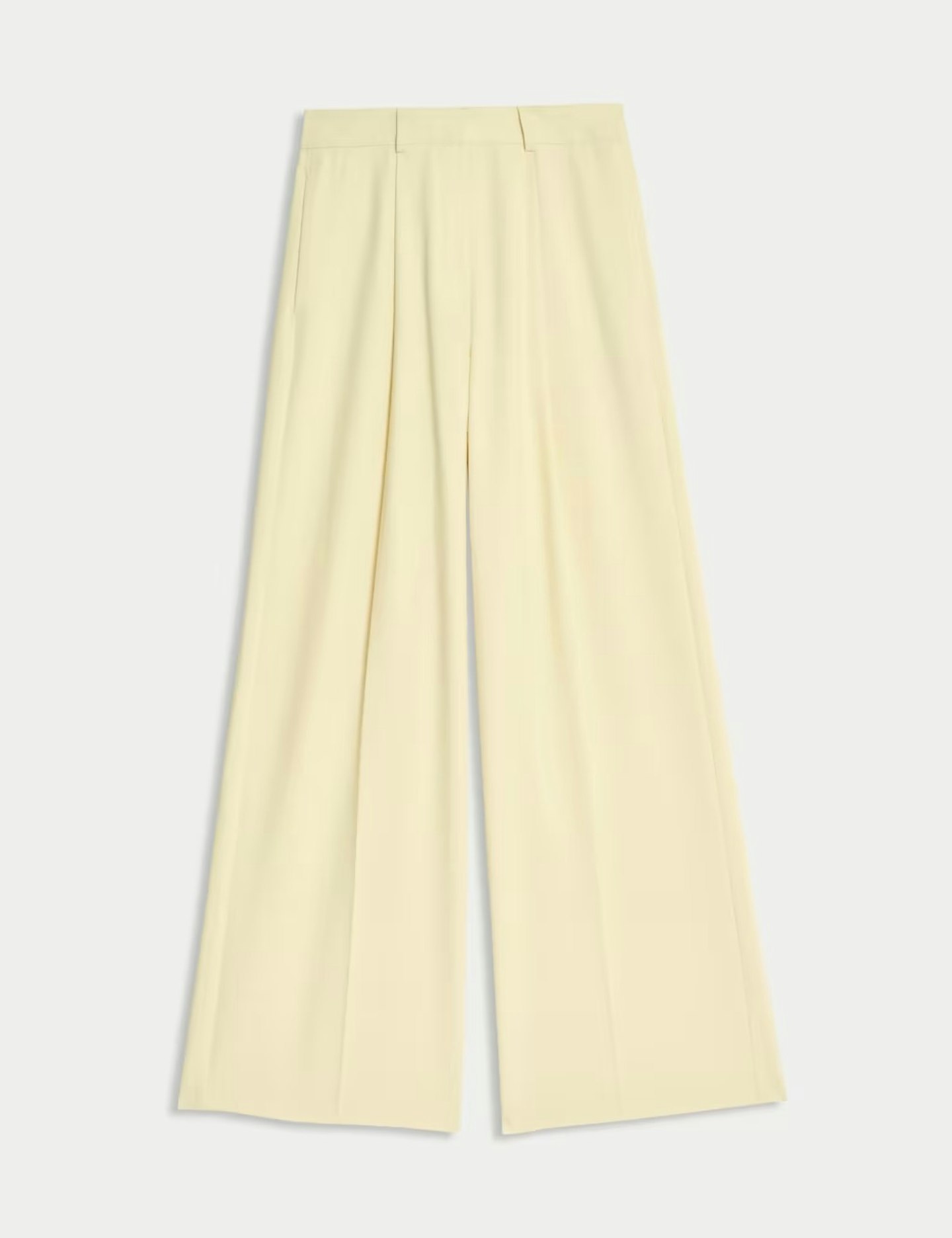 Woven Pleat Front Wide Leg Trousers