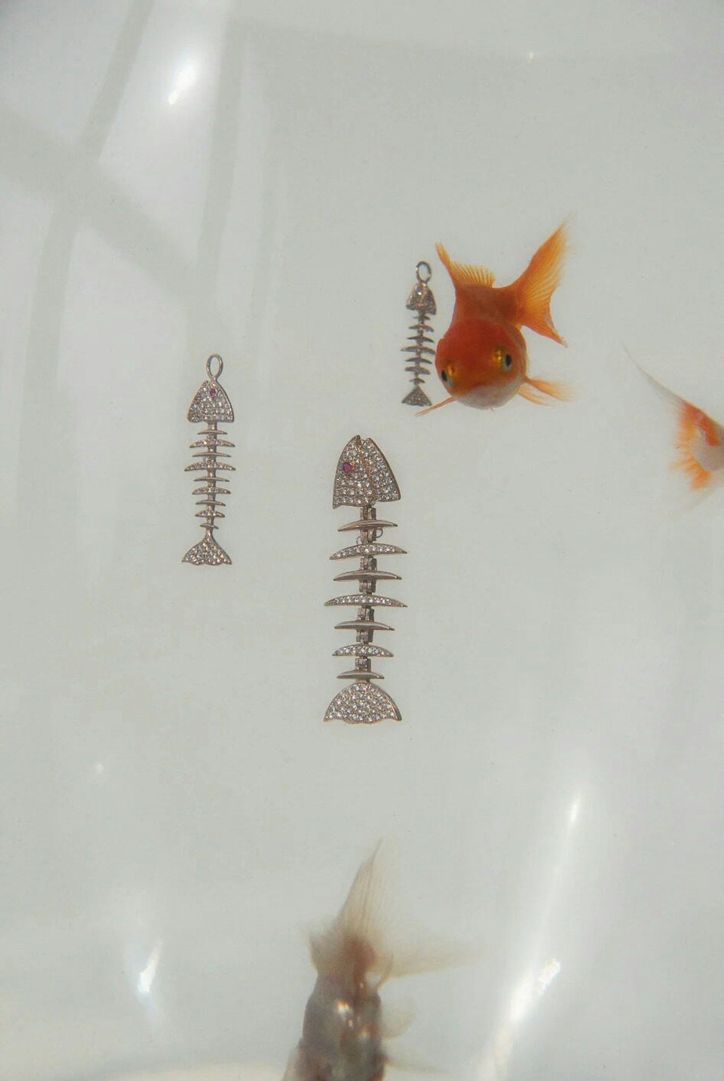 Kamushki