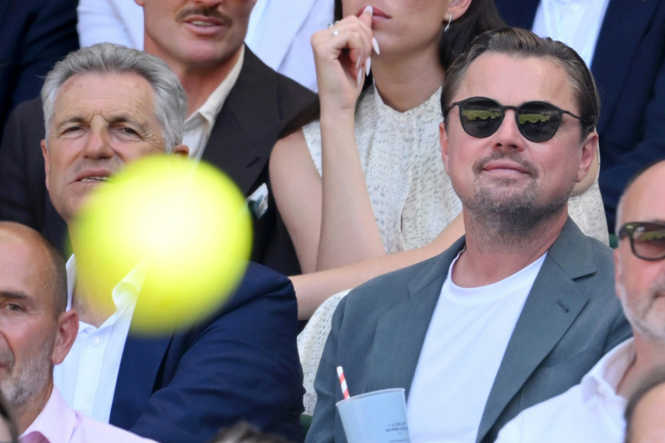 Actor Leonardo DiCaprio