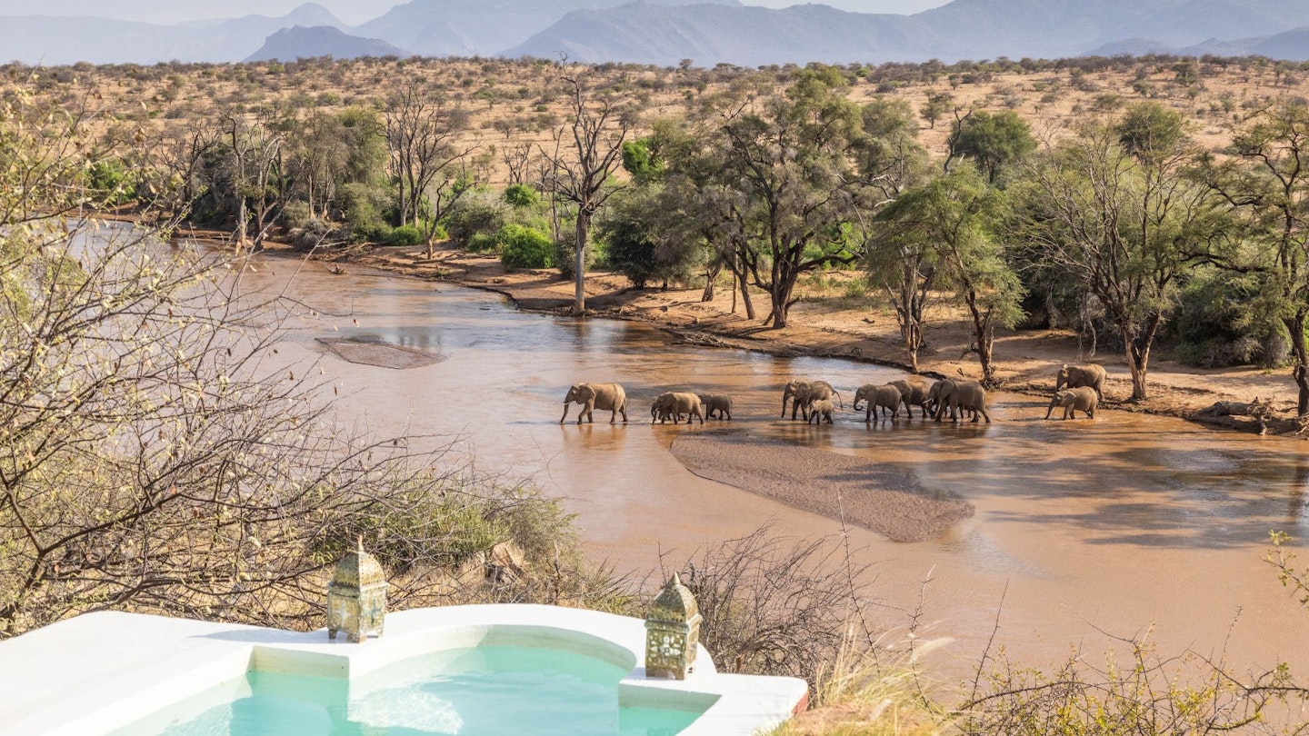 sasaab safari
