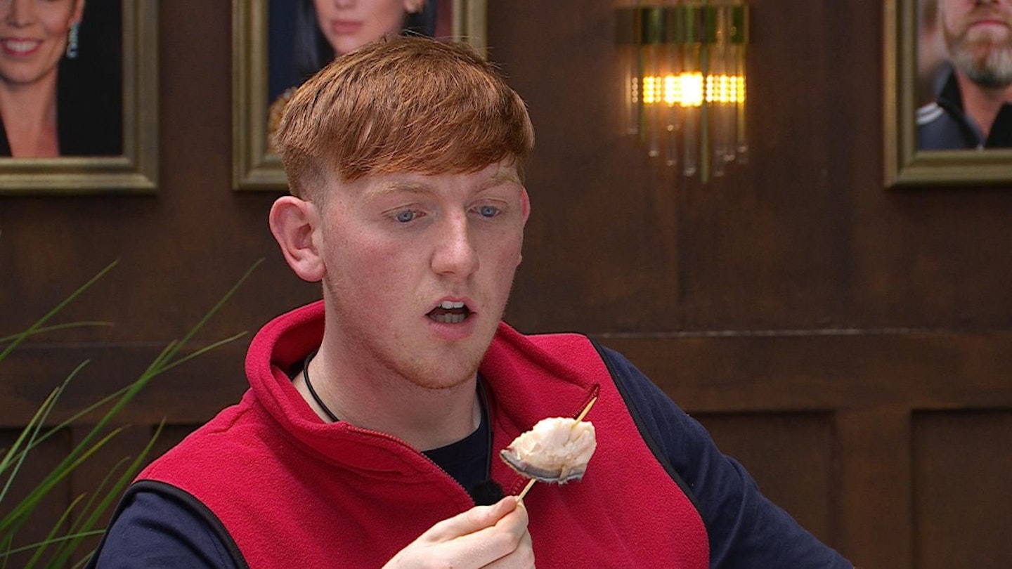 I'm A Celebrity: Do They Eat Live Bugs?