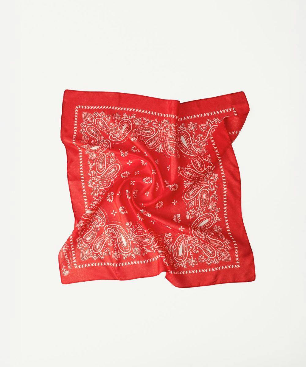 Zara X Willy Chavarria: Everything you Need To Know About The