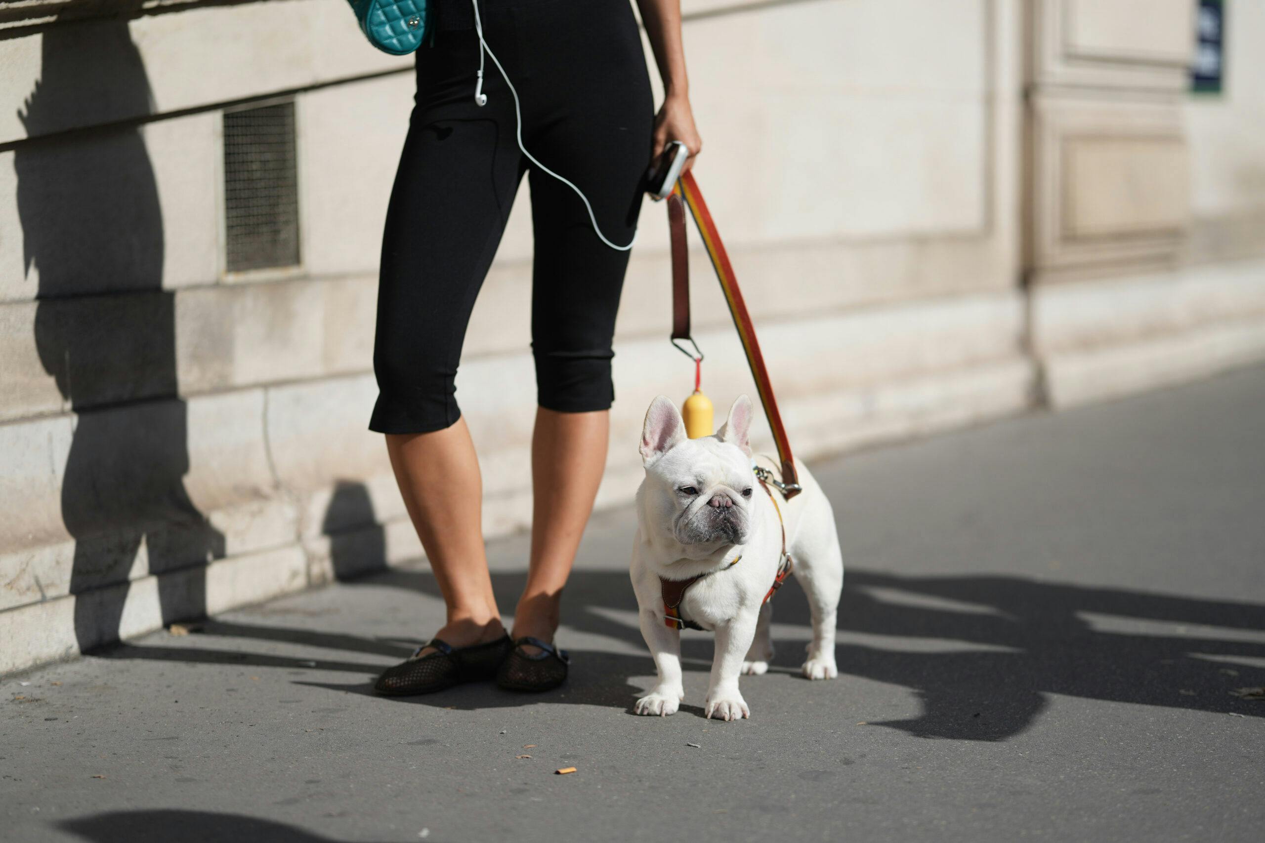 I don't even own a dog - but Tom Hardy's favourite luxury dog shampoo has tempted me
