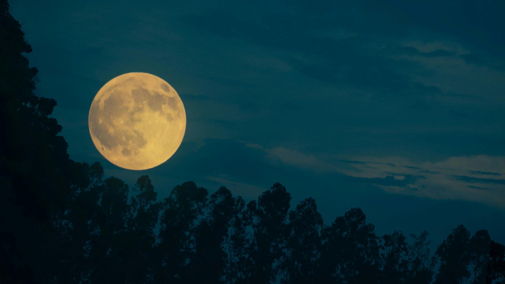 Hunter's Moon 2026: Full Horoscope Explained