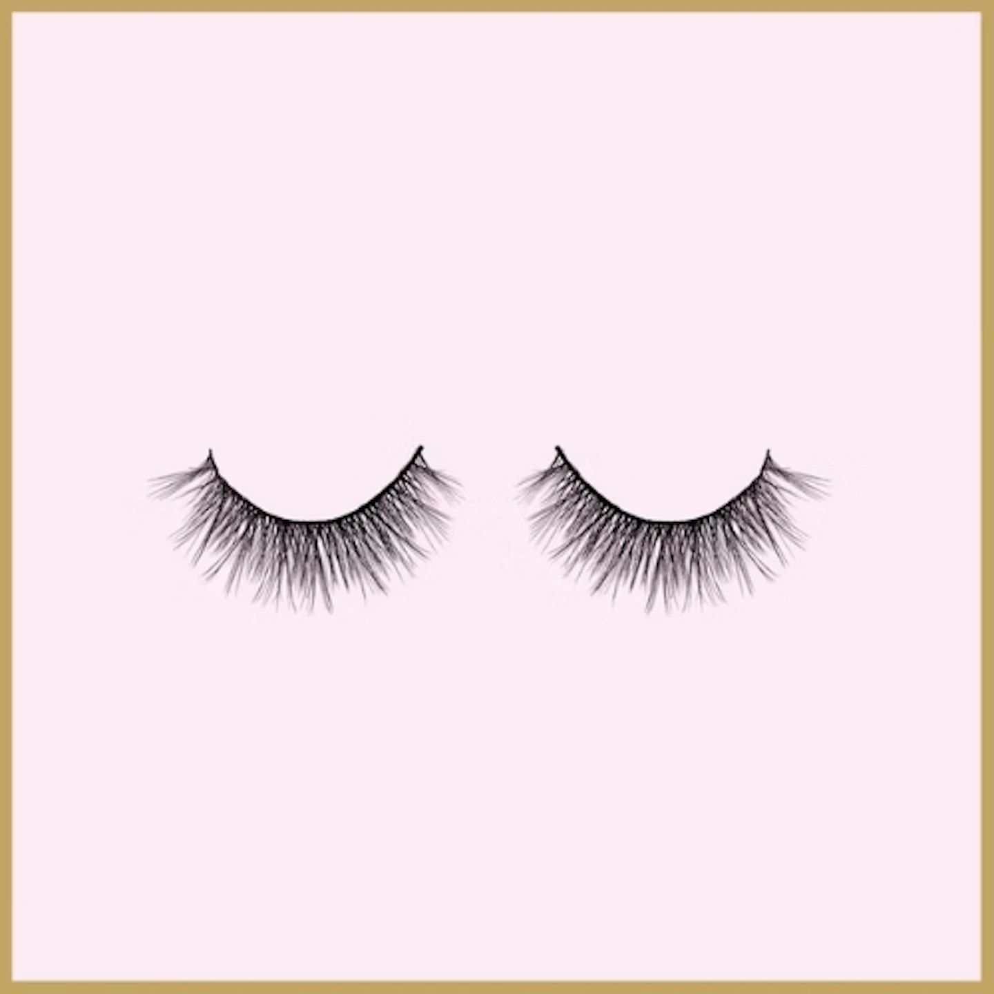 Doll Beauty lashes