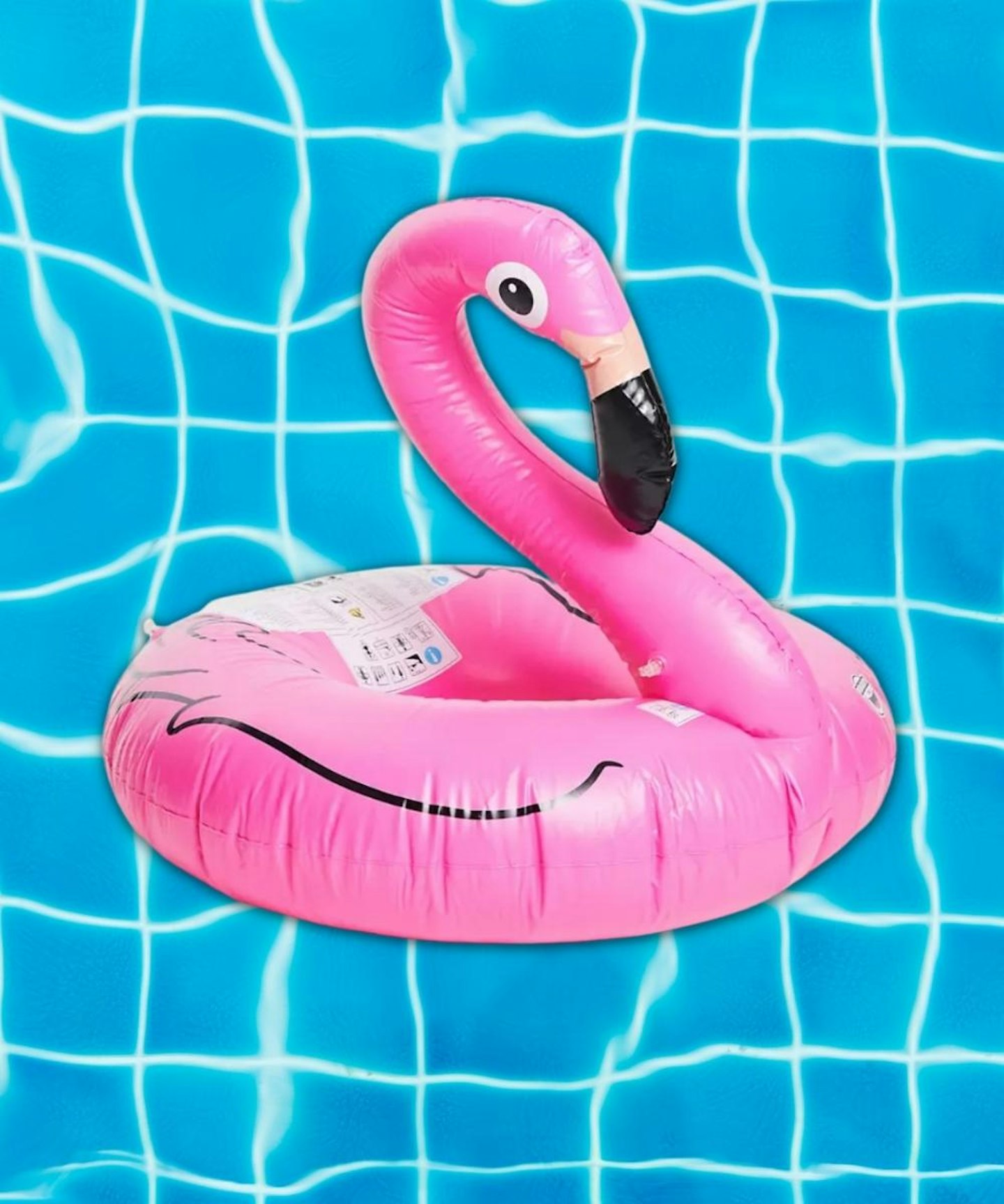 Big Mouth Flamingo Pool Float in Pink