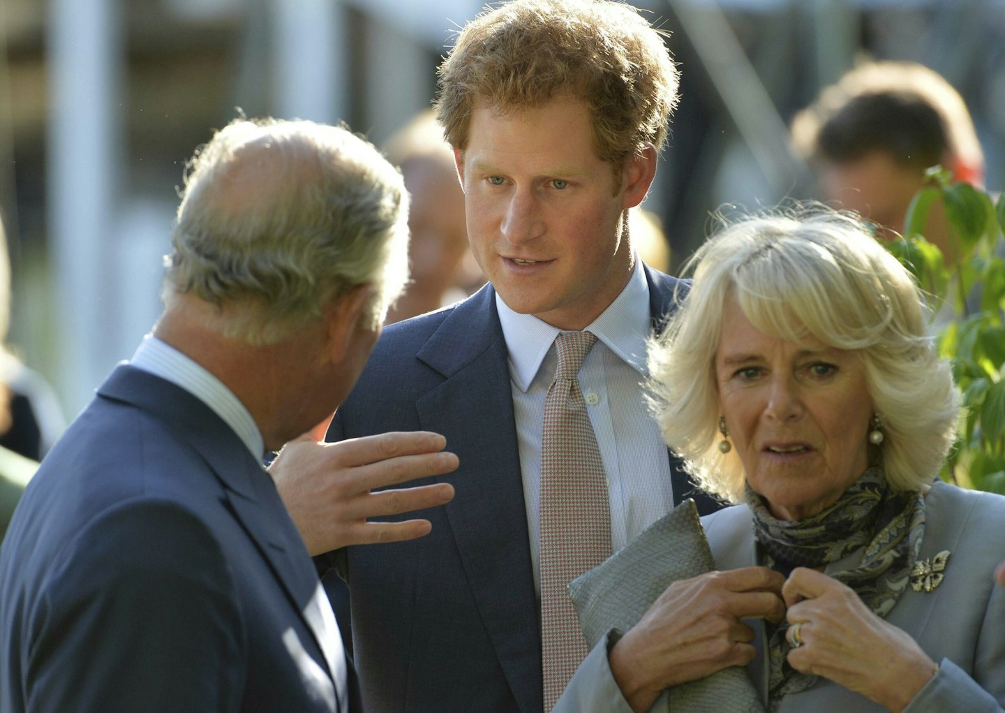 prince harry charles camilla