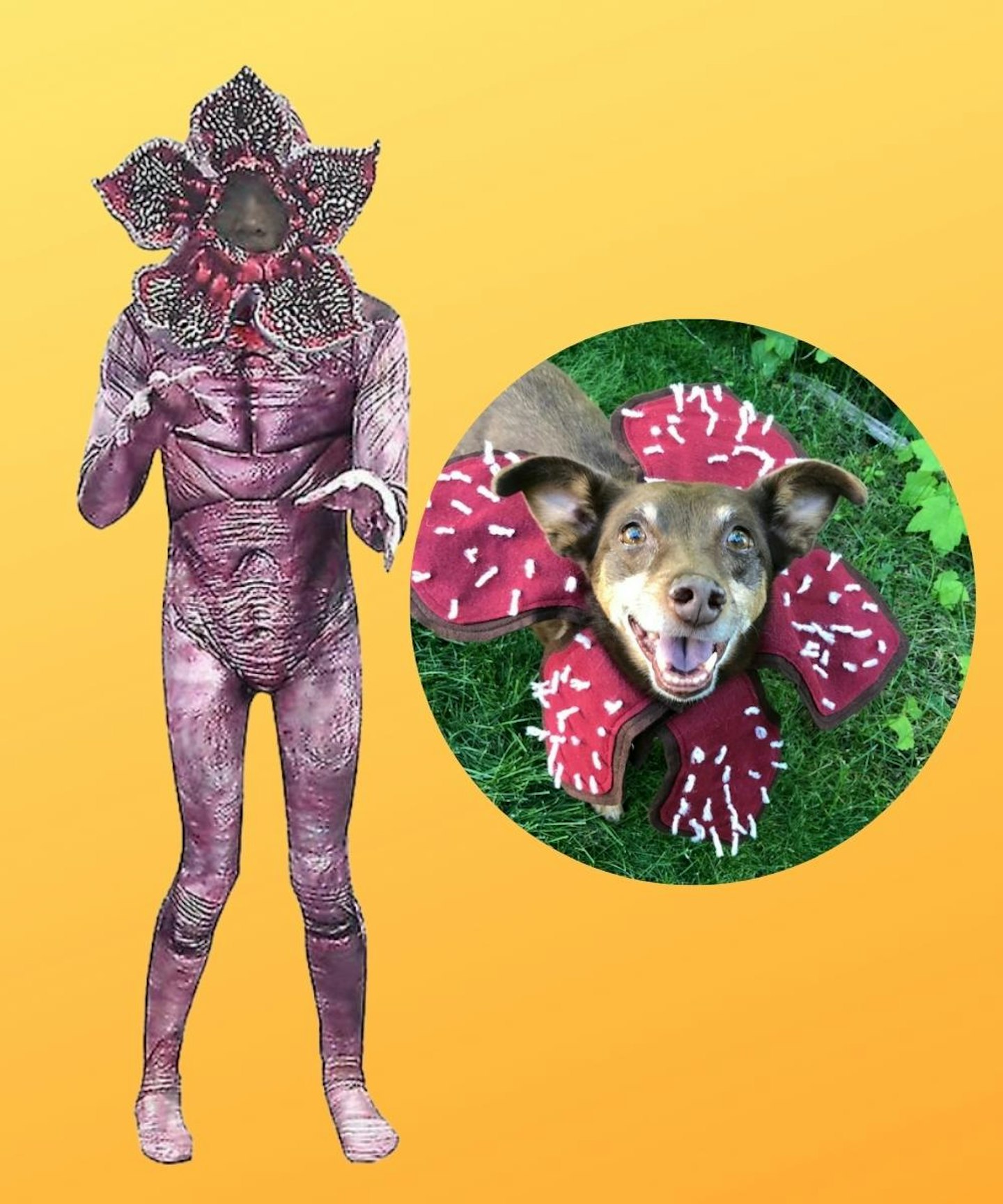 Demogorgon Body Suit (Plus One For Your Dog...)