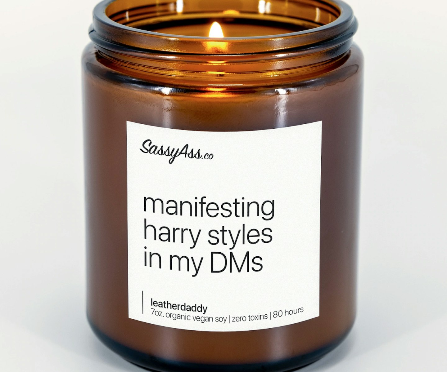 Manifesting Harry Styles in My DMs Scented Soy Candle