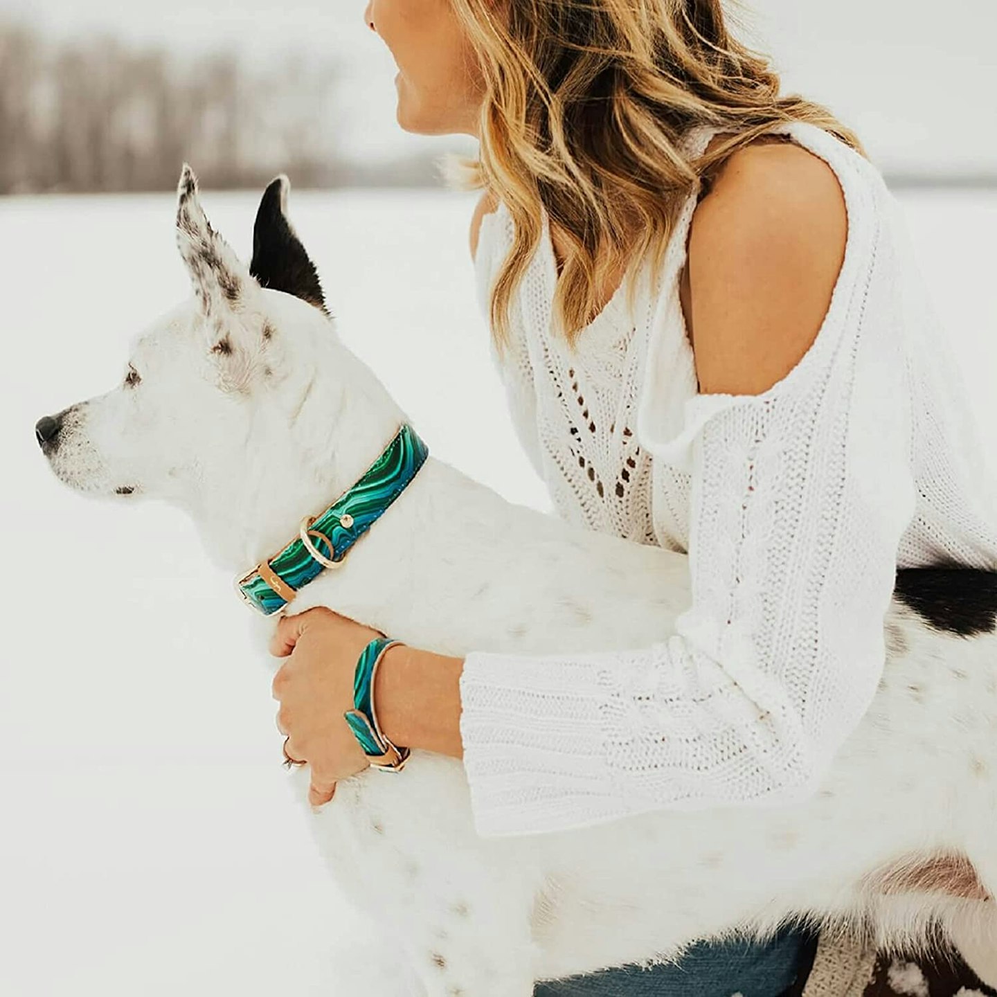 FriendshipCollar Dog Collar and Friendship Bracelet