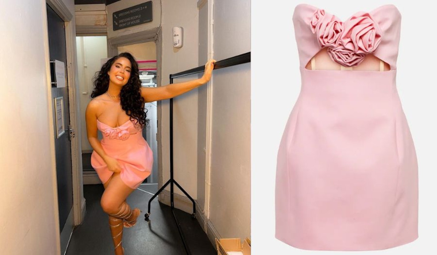 Cinzia's Light Pink Rose Dress