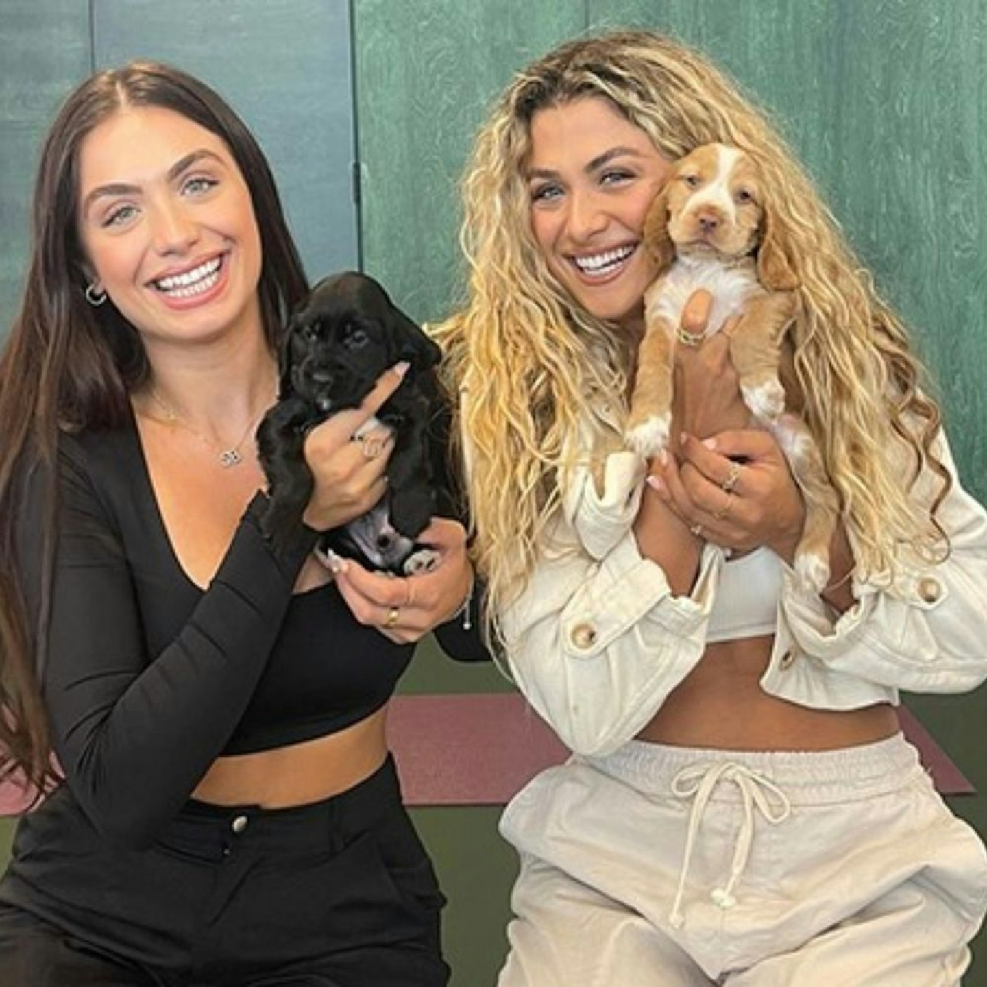 Puppy Yoga with Afternoon Tea and Mimosas for Two with Puply