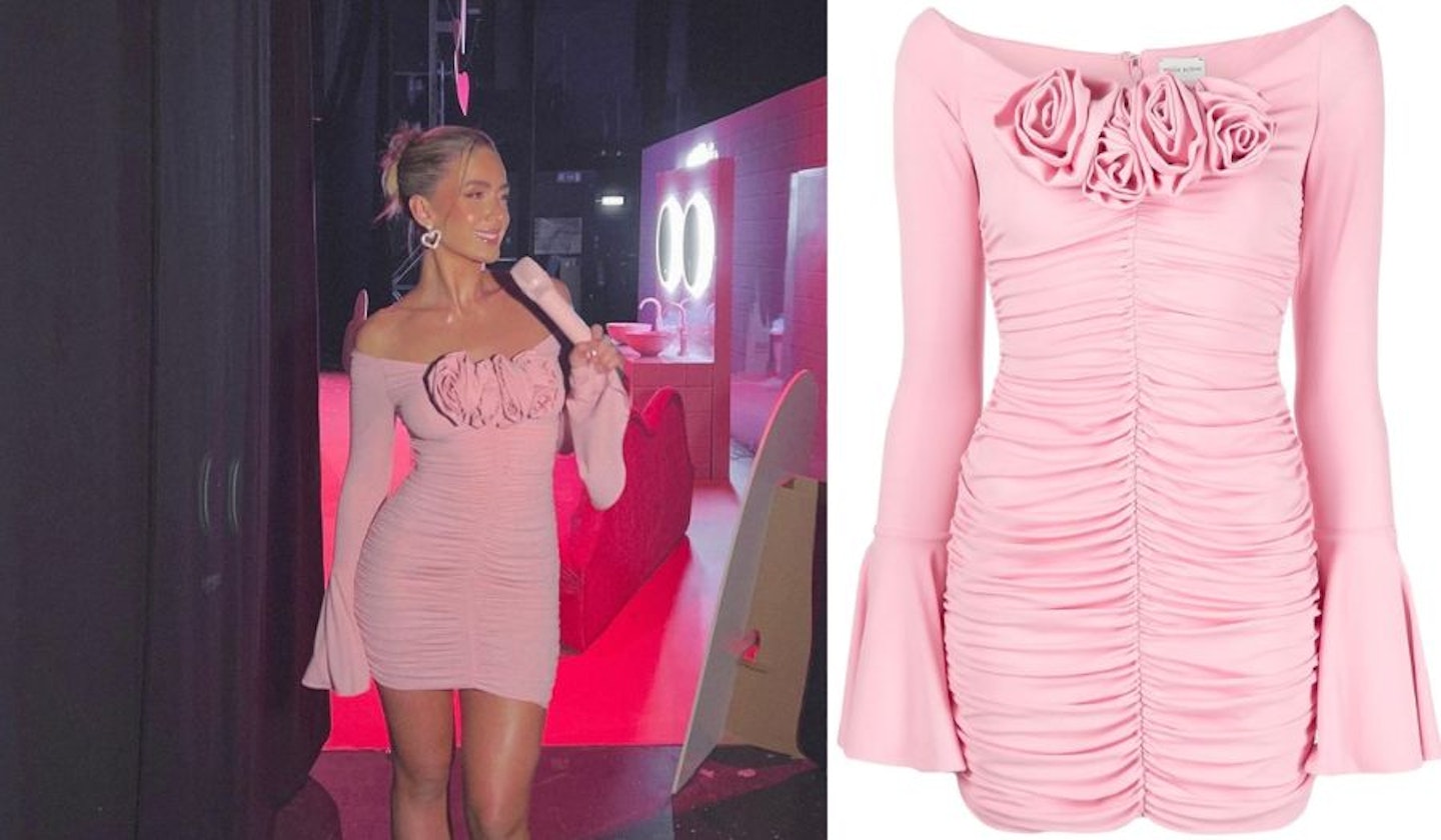 Sophia's Light Pink Rose Dress