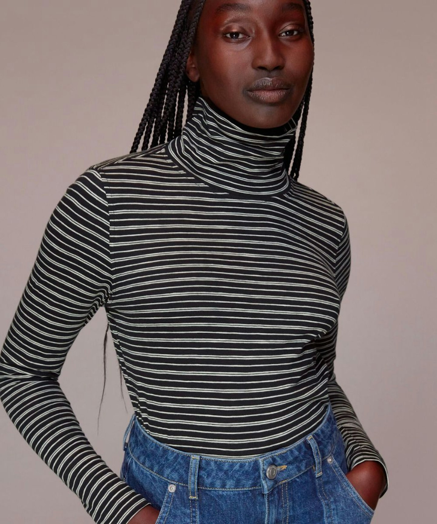 Whistles Contrasting Stripe Roll Neck