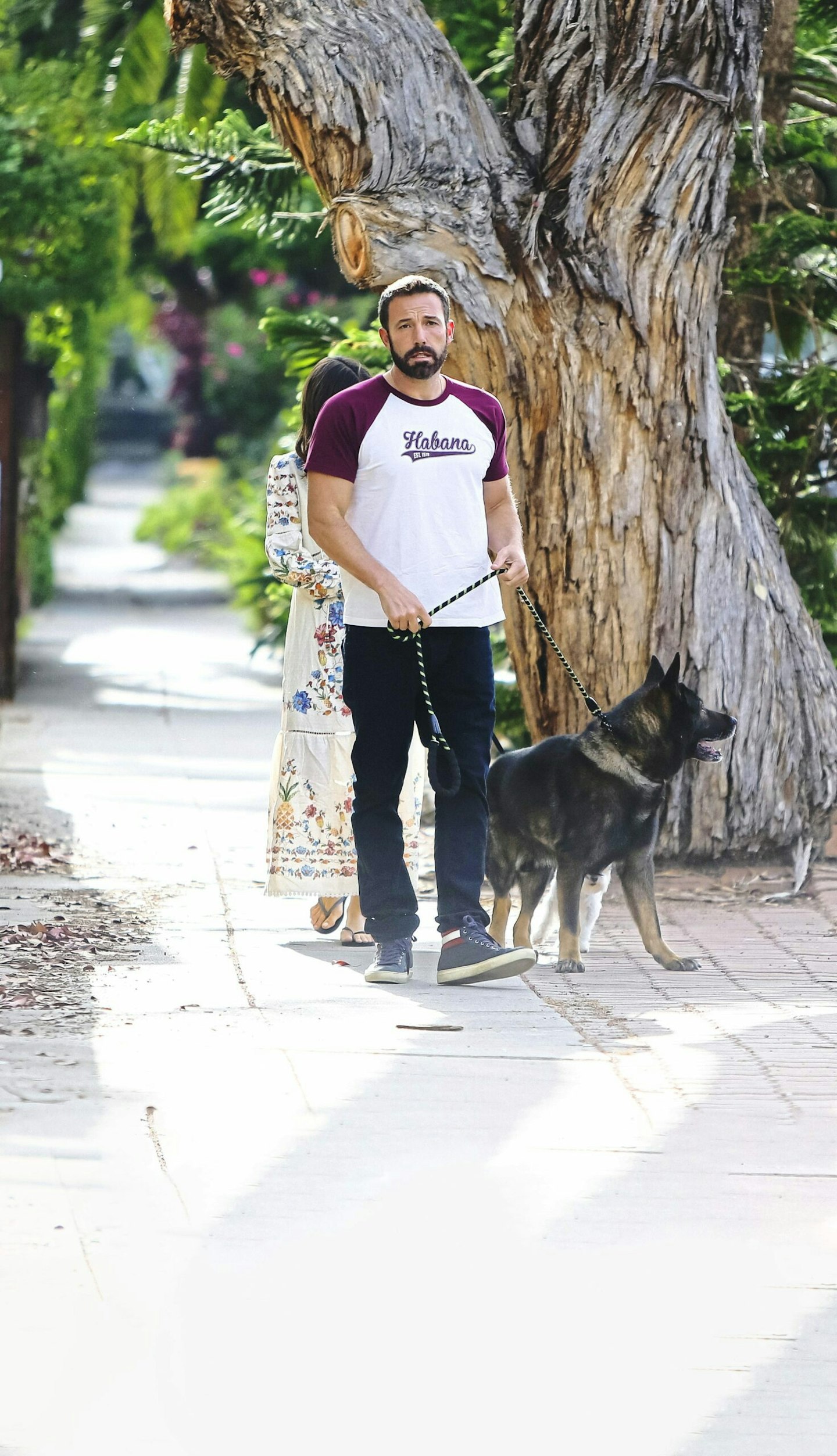 Ben Affleck with dog