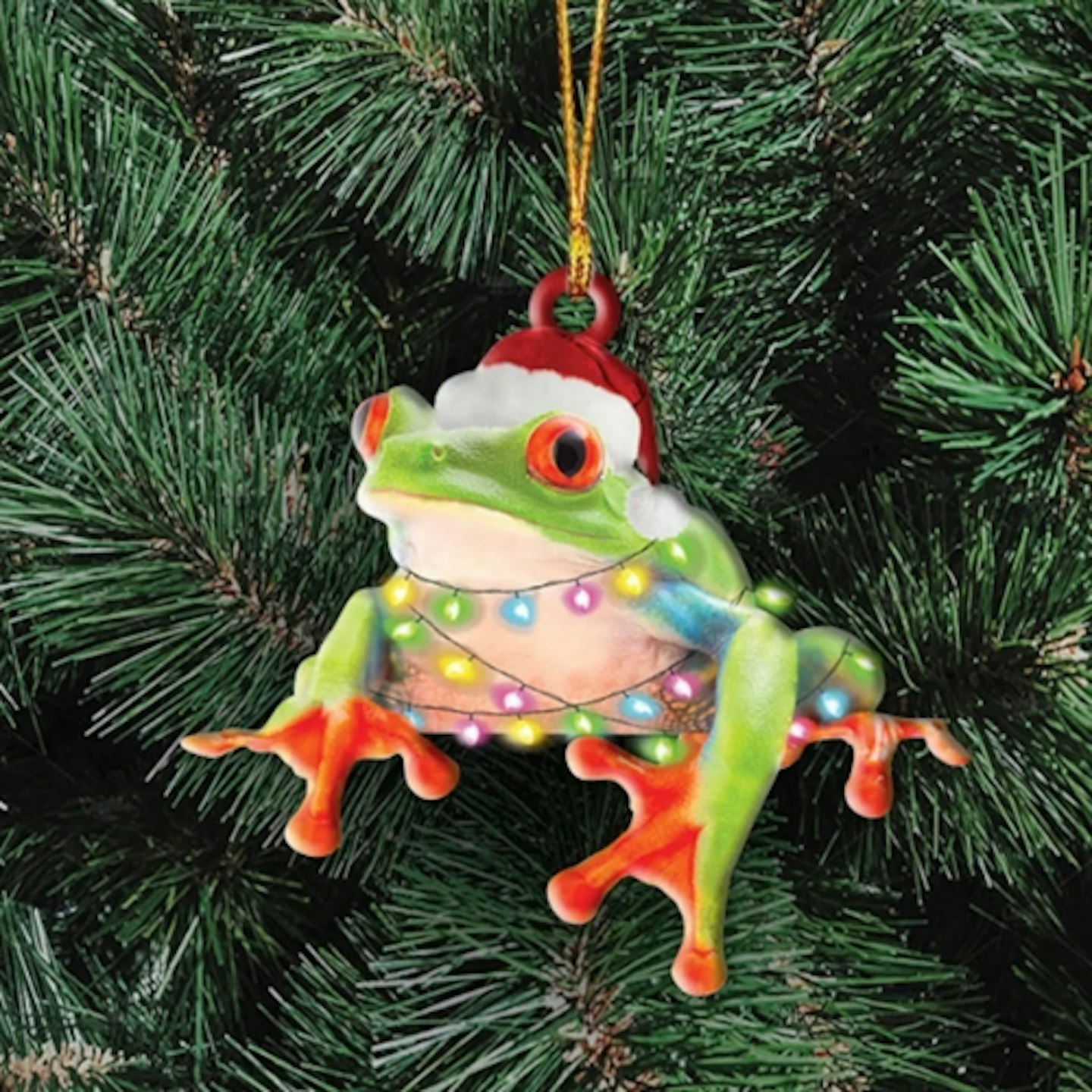 Red Eyed Tree Frog Ornament