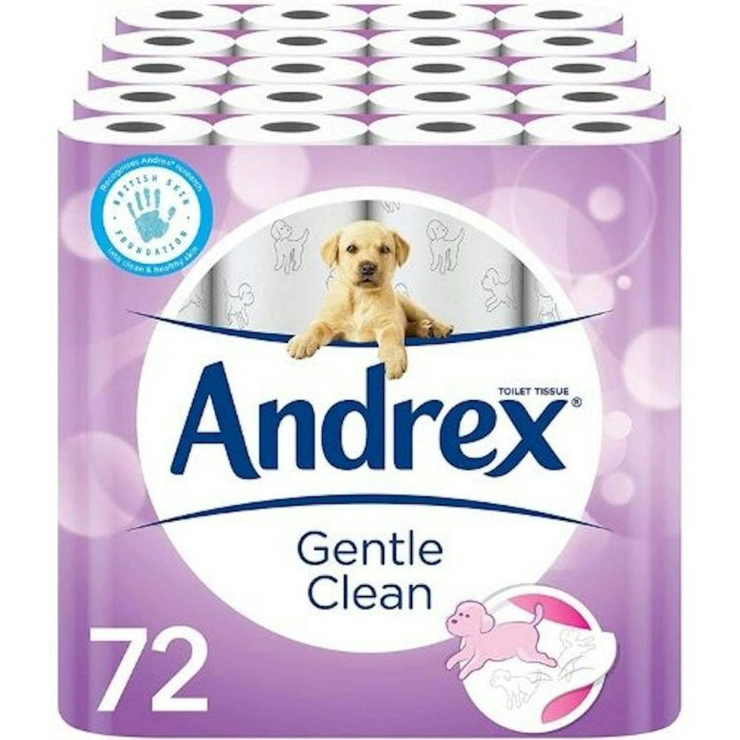 Andrex Gentle Clean Toilet Rolls